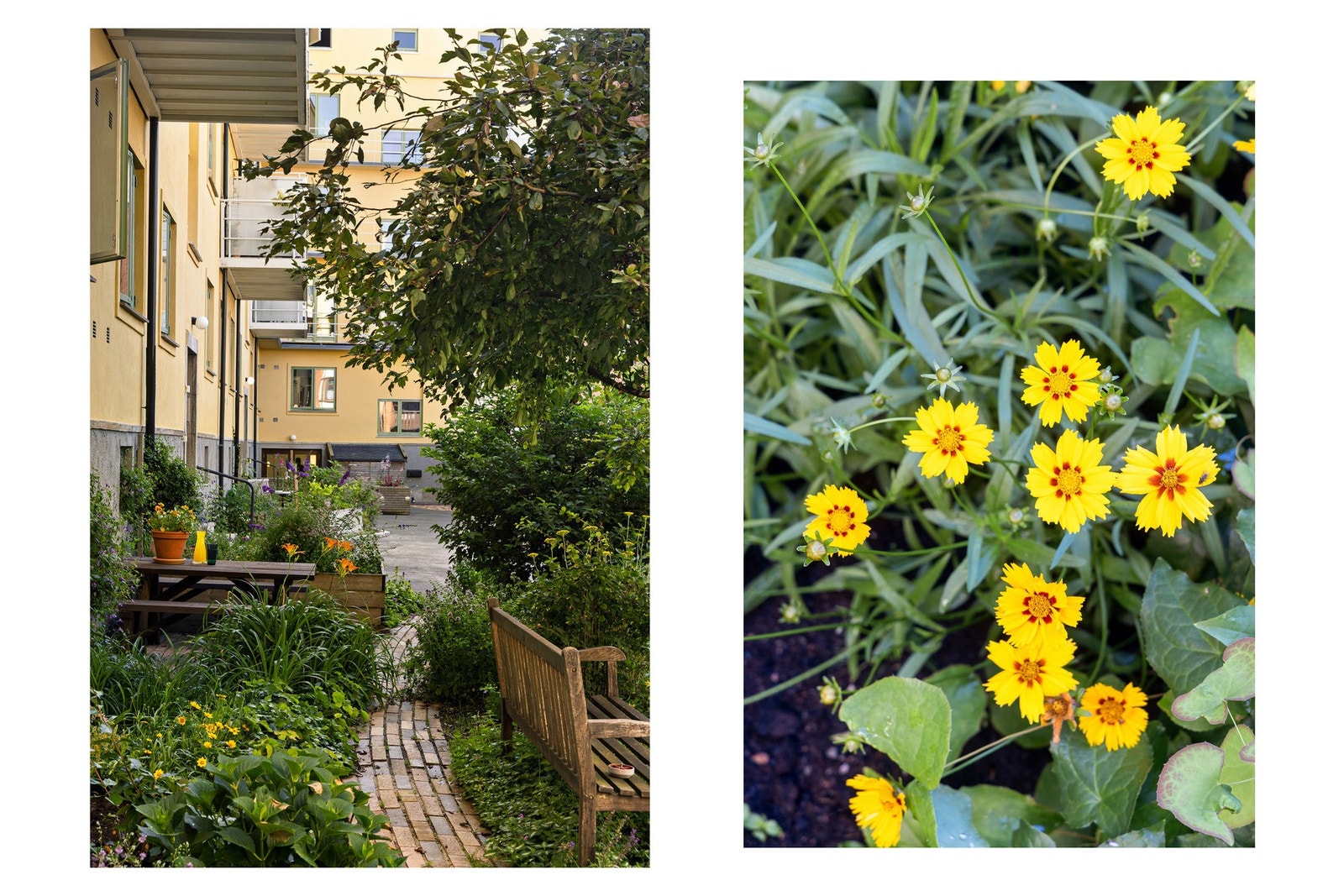 Utenfor C-oppgangen er det plass til å tørke klær/vask ute. Ellers er det også tørkeplass på loftet. Galleribilde
