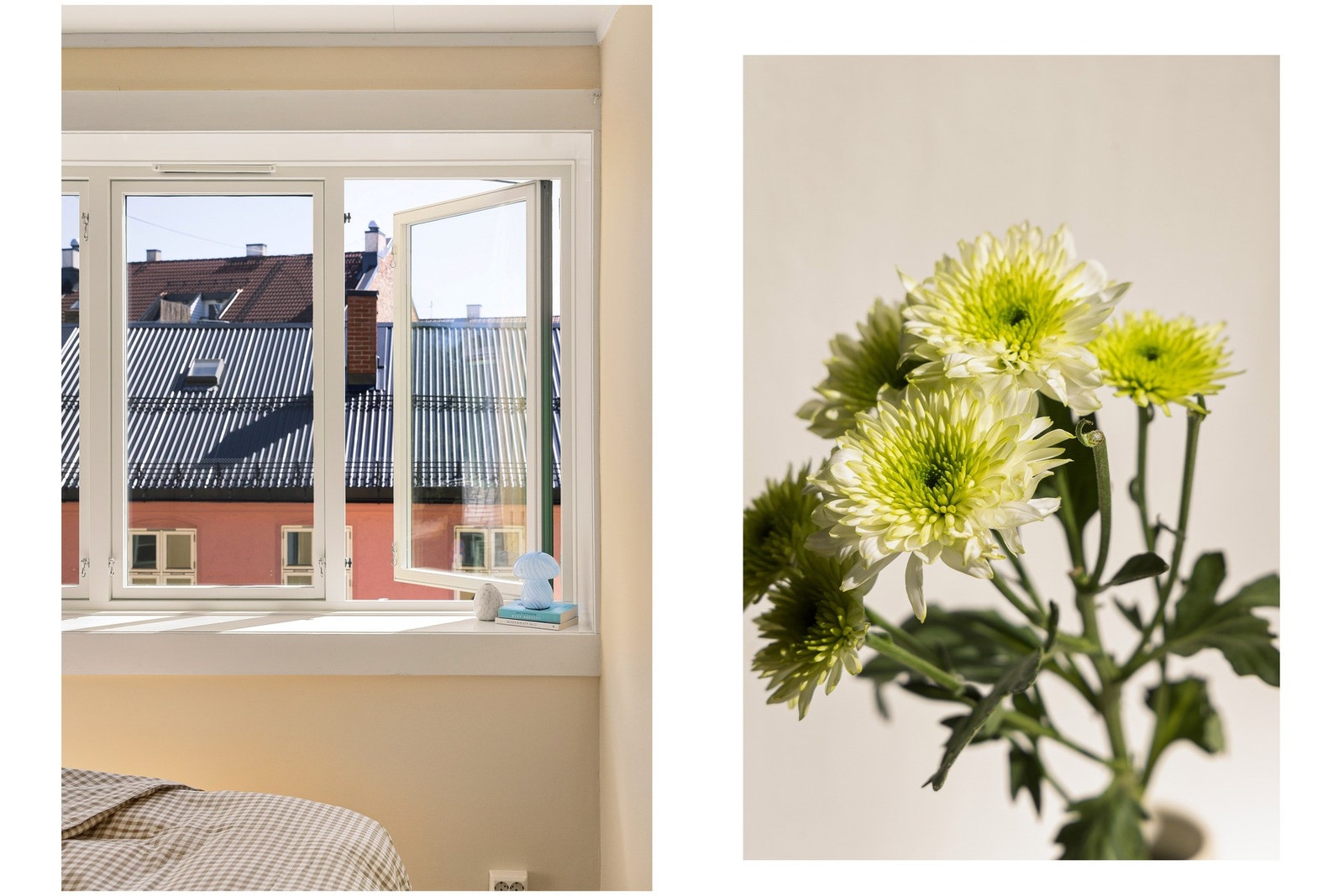 Utsynet mot nærmiljøet er koselig, og du har faktisk veldig lite direkte innsyn. Galleribilde