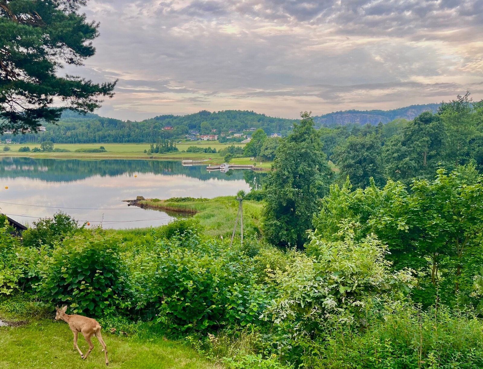 Du har en følelse av å bo midt i naturen Galleribilde