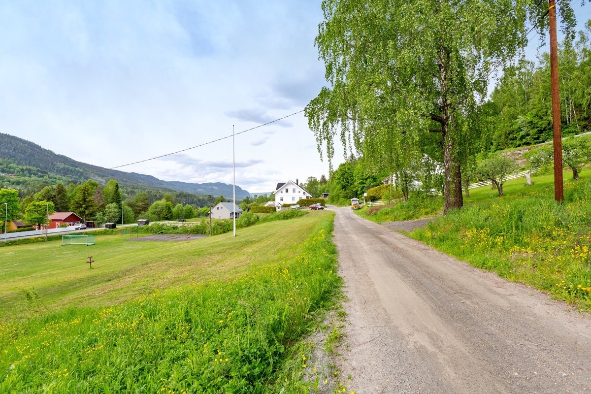 Stort friområde på nedsiden av tomten Galleribilde