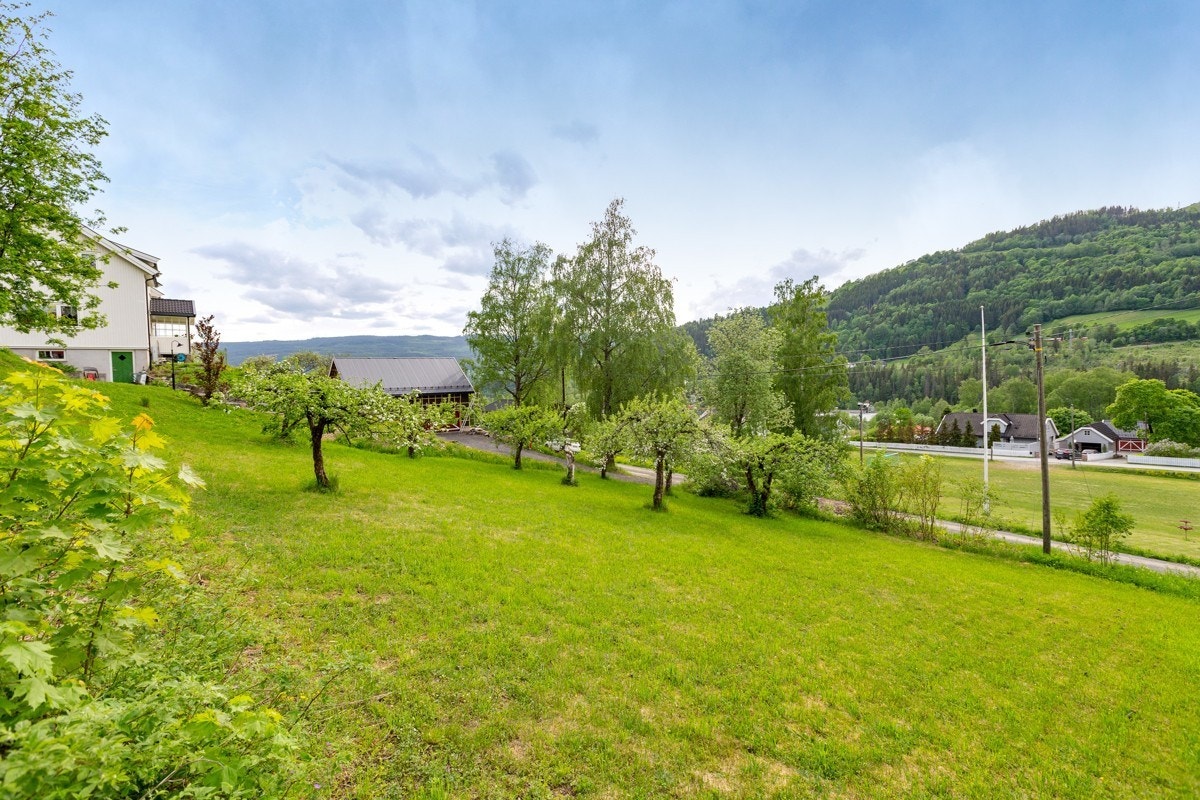 Velkommen til Smiuvegen - Byggeklar tomt - Ingen byggeklausul Galleribilde