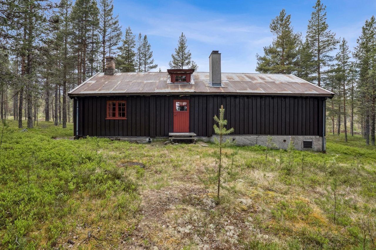 Stor tomt på nesten 5 mål Galleribilde