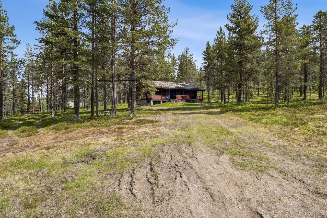 Innkjørsel leder opp til hytta, omgitt av vakker natur og rikelig med uteplass. Galleribilde