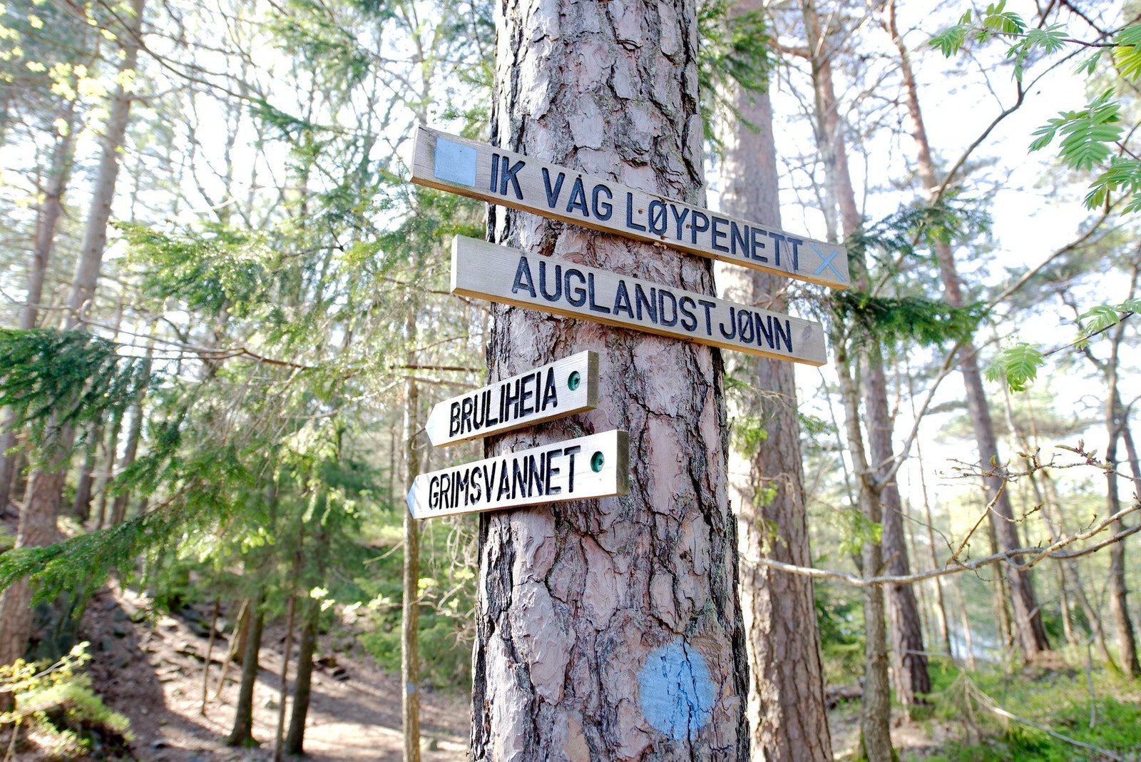 - Fra boligen er det nærhet til flere, flotte turområder like ved - Galleribilde