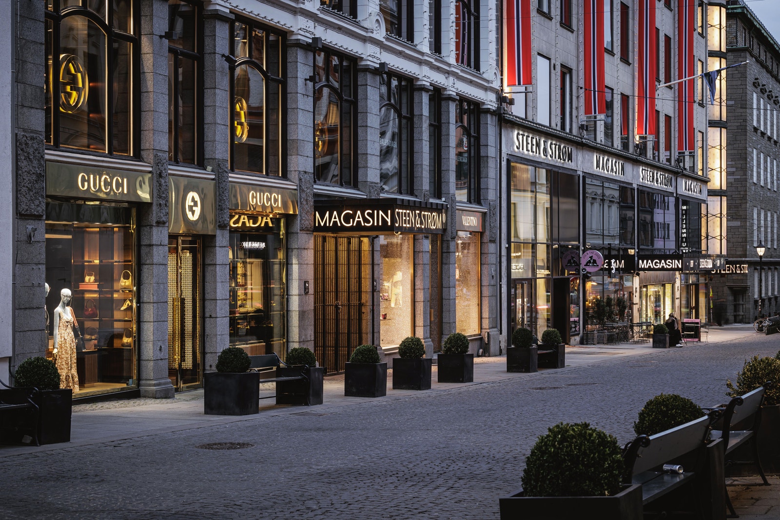 Nedre Slottsgate Galleribilde