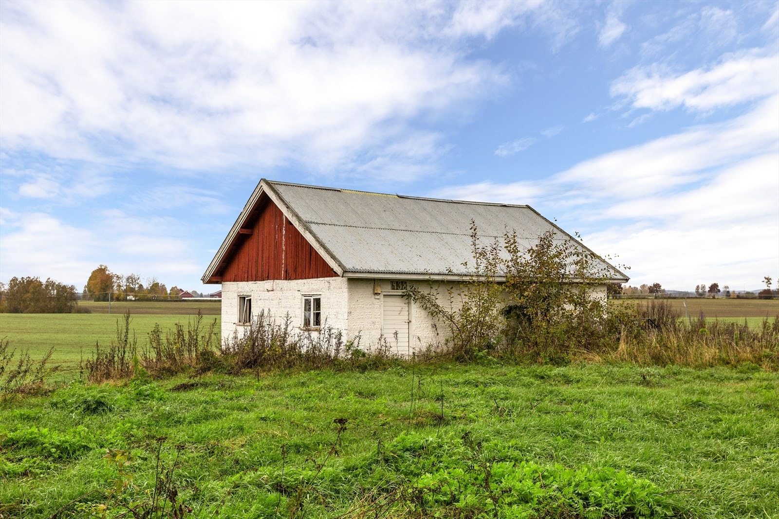 Grisehus Galleribilde