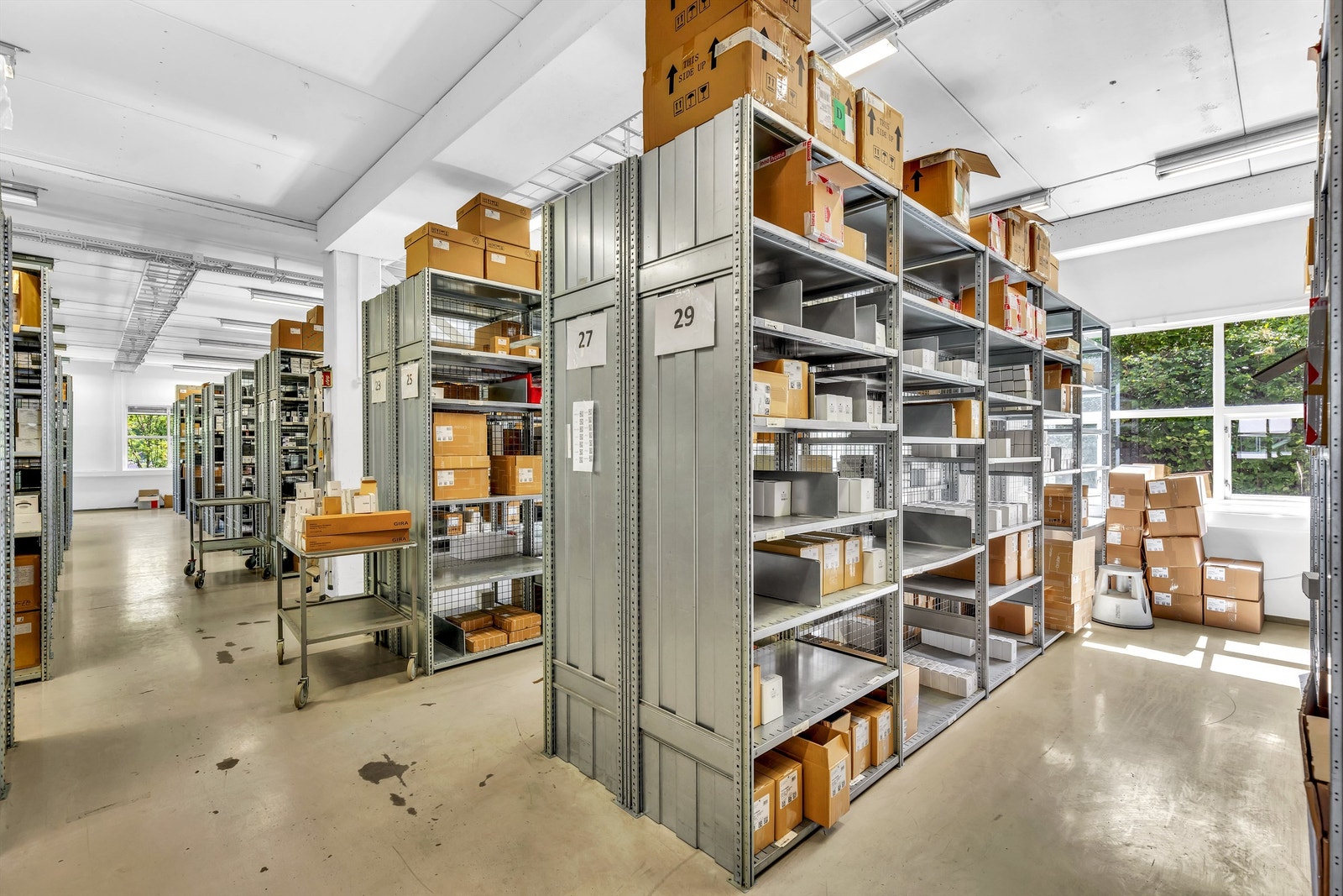 Bilder fra lageret Galleribilde