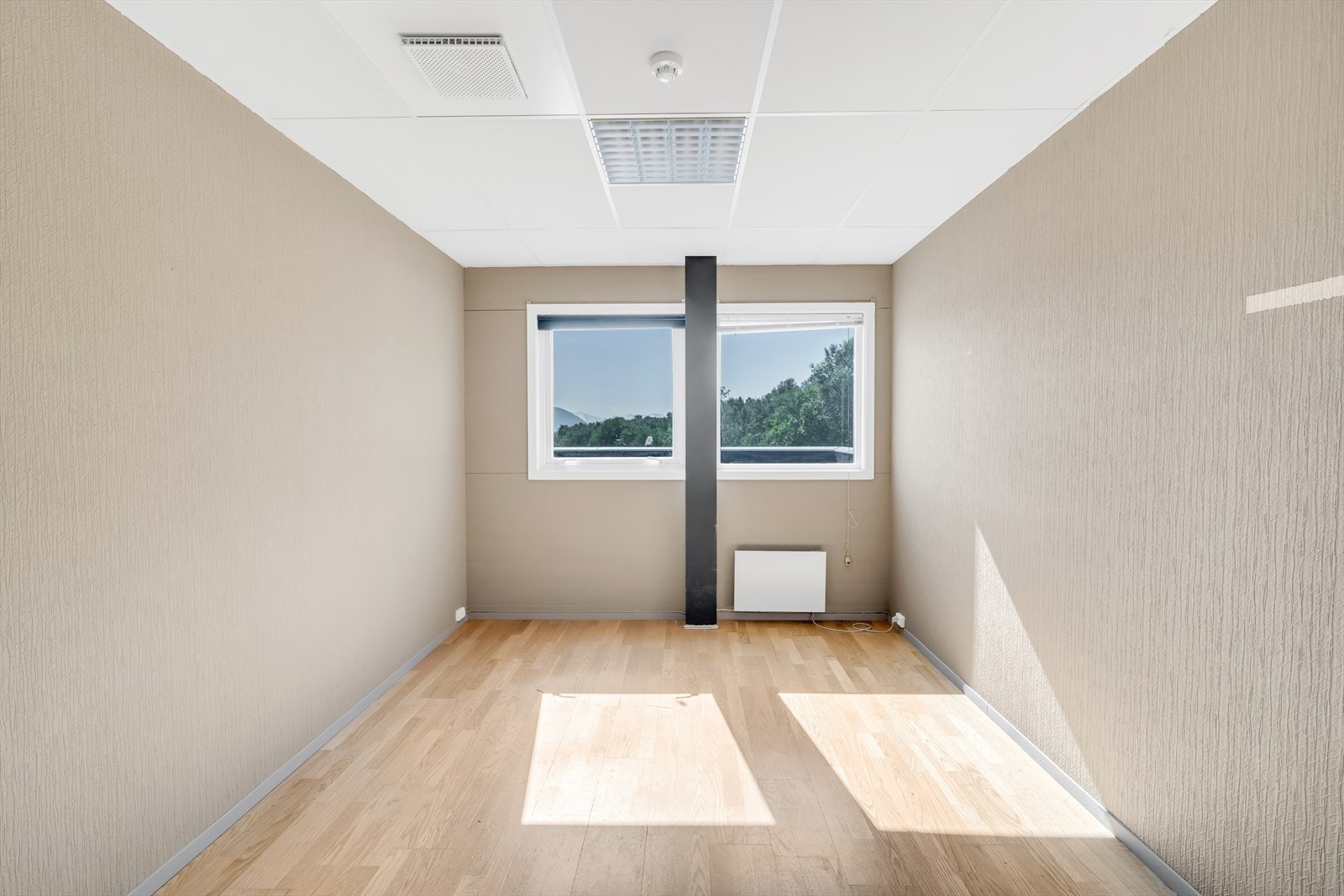 Mange cellekontorer Galleribilde