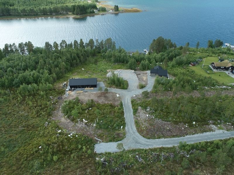 Foto: Geo Møre Galleribilde