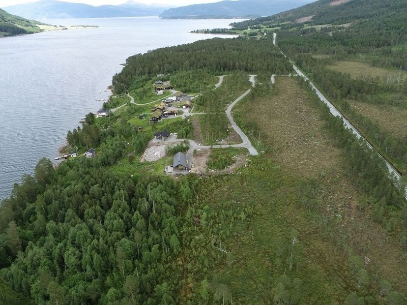 Tomtene er relativt romslige med ca. 1000 kvm. Foto: Geo Møre Galleribilde