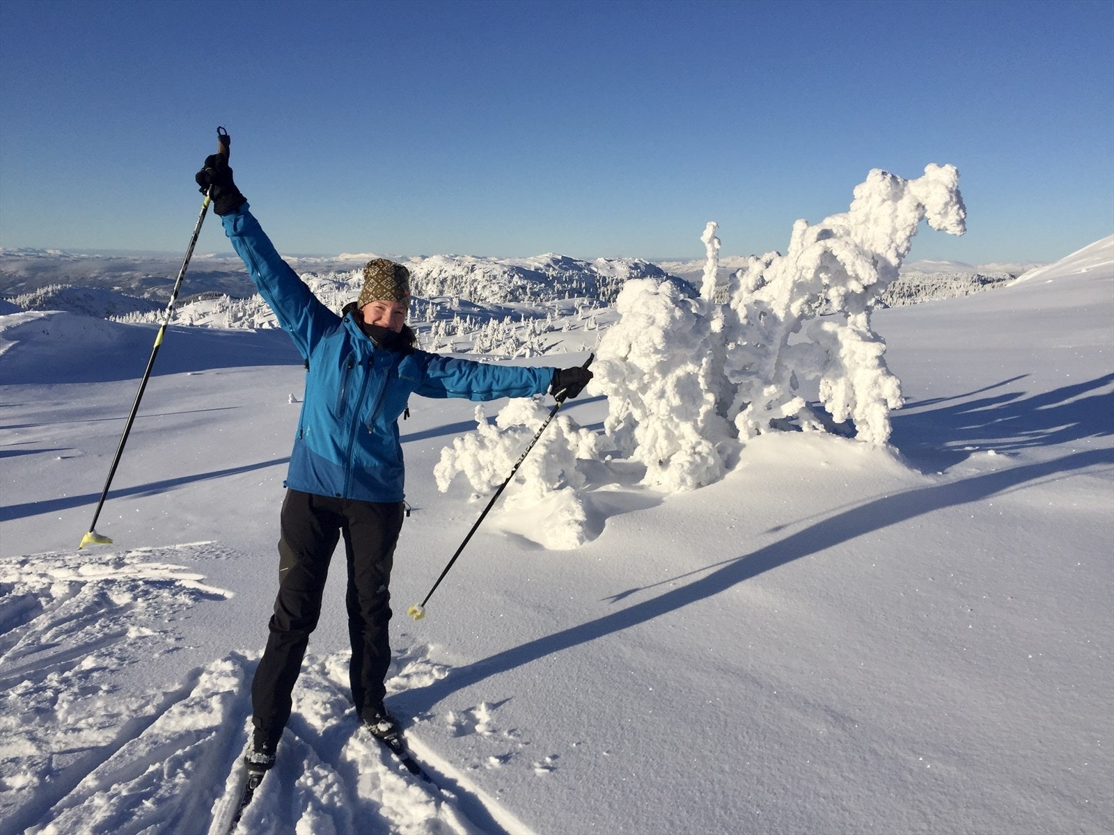 Skitur i Liemarka Galleribilde