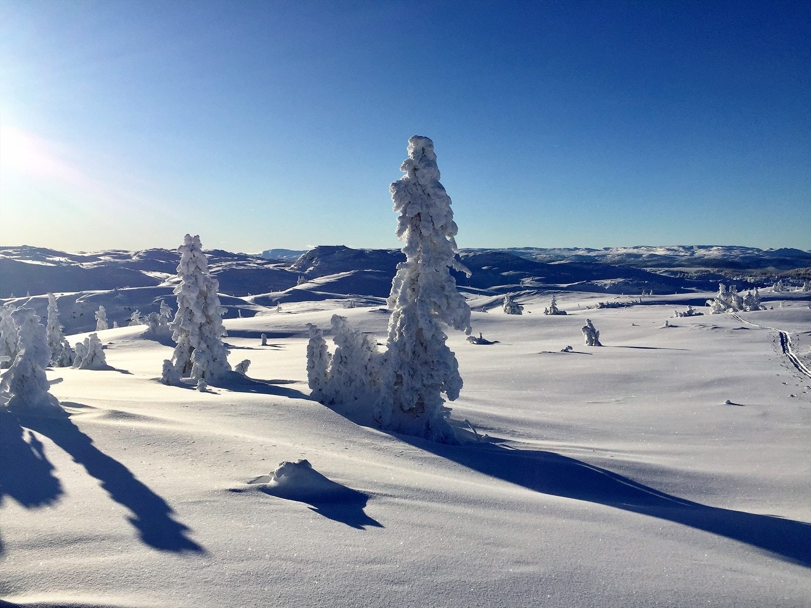 Nes Liemarka Vinterlandskap Galleribilde