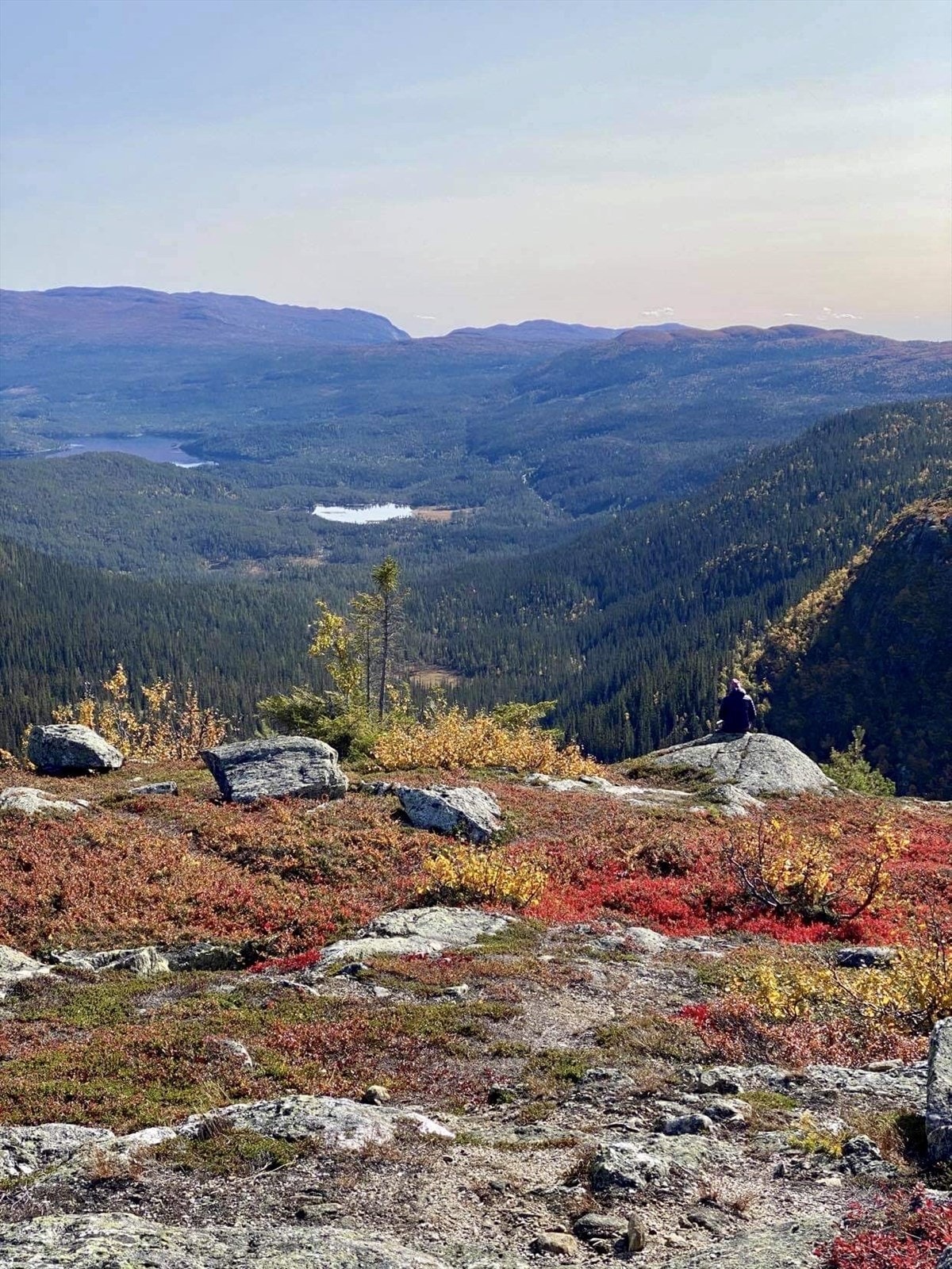 Nes Nyseternatten Liemarka utsikt mot Vassfaret Galleribilde