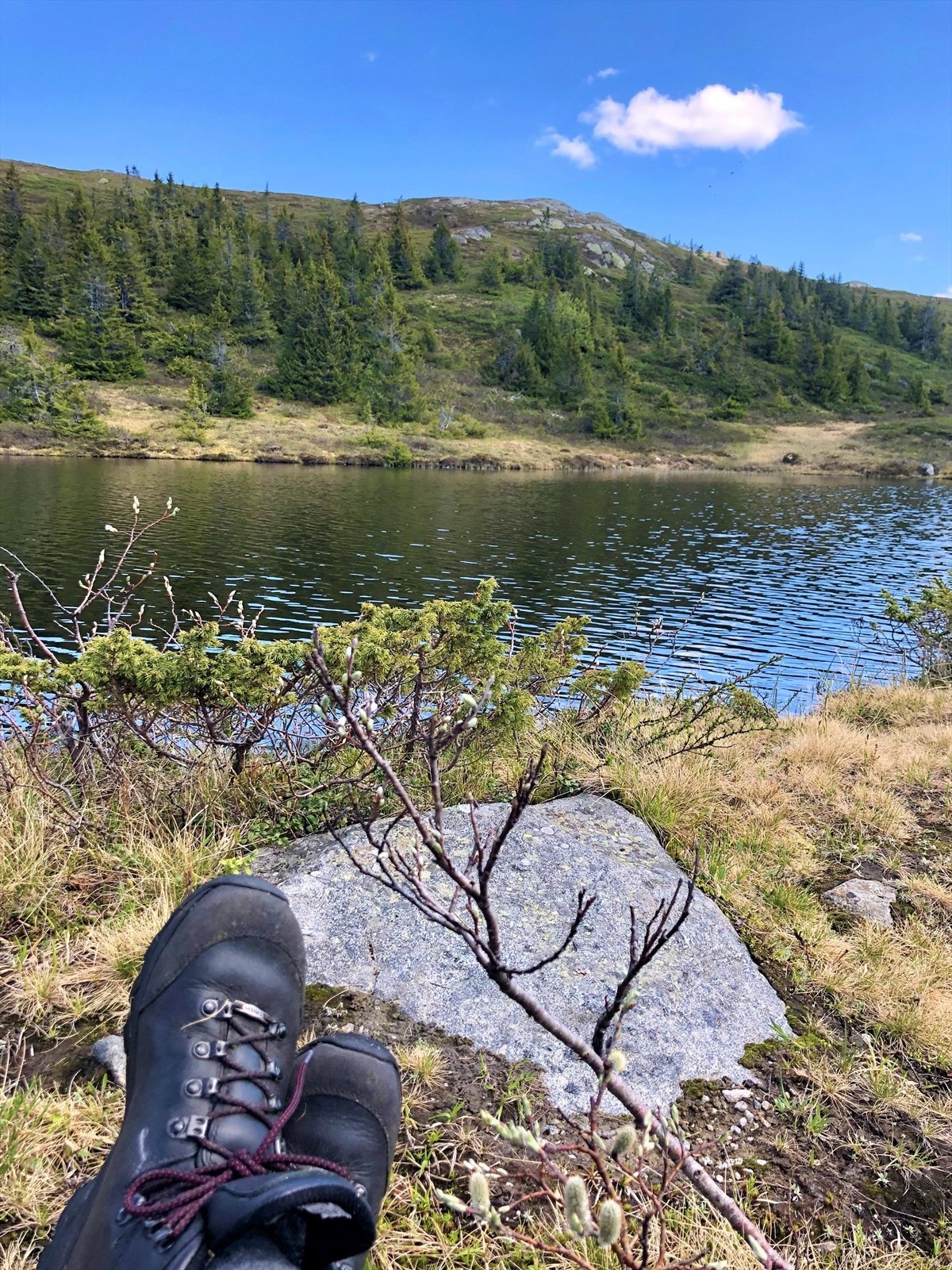 Fjellvann Galleribilde