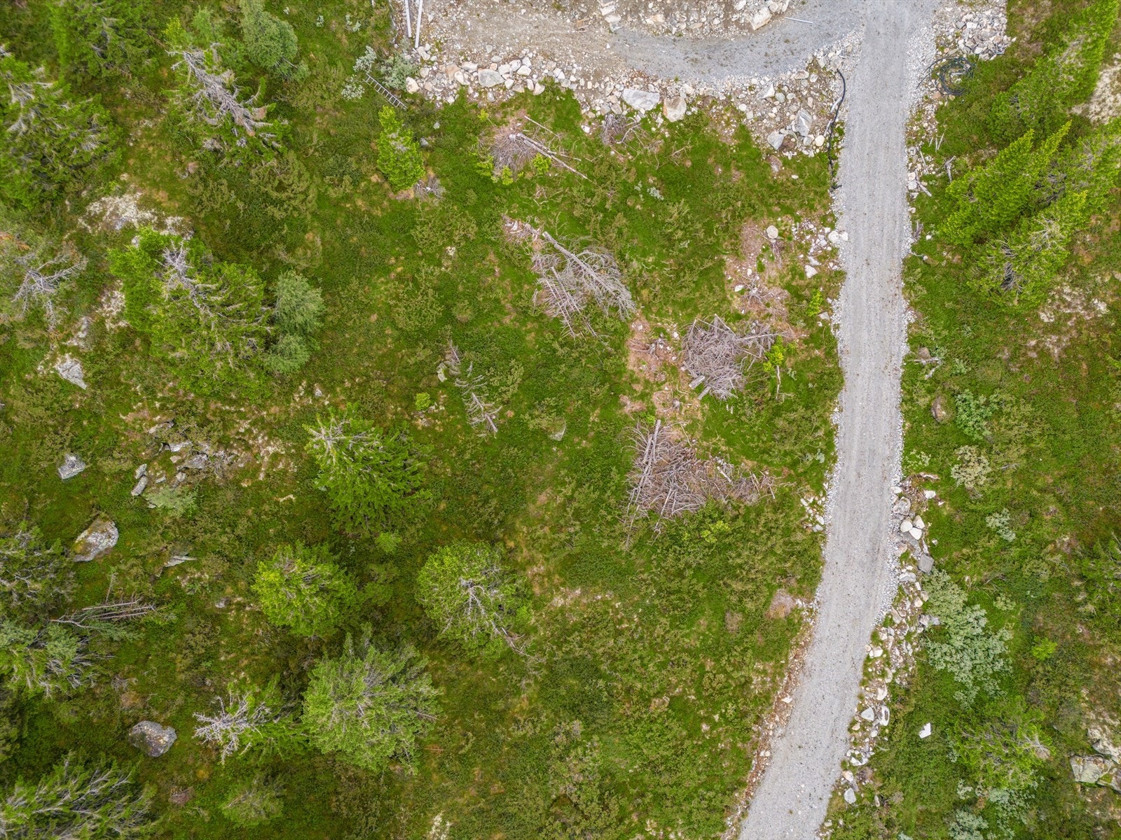 Last ned salgsoppgave for fullstendig informasjon. Velkommen på visning! Galleribilde