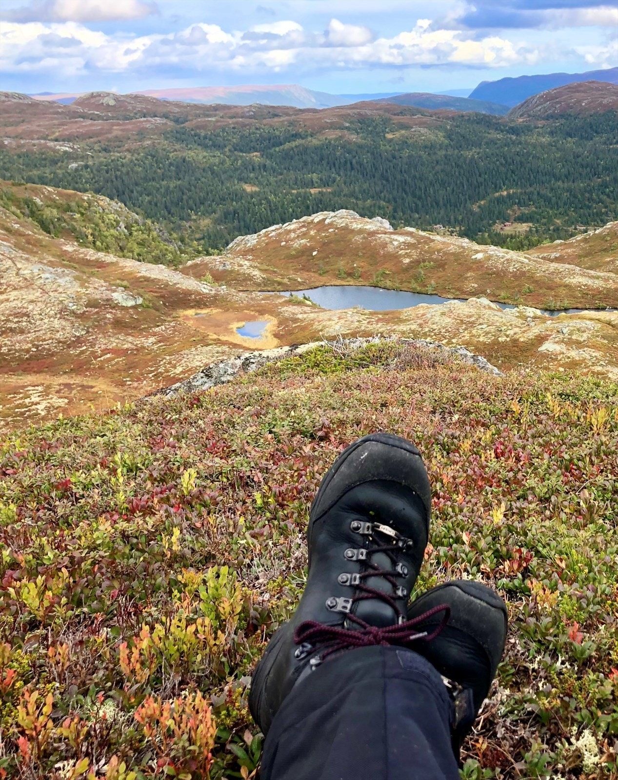 Nes Jordesmyrnatten utsikt mot Vassfaret Galleribilde