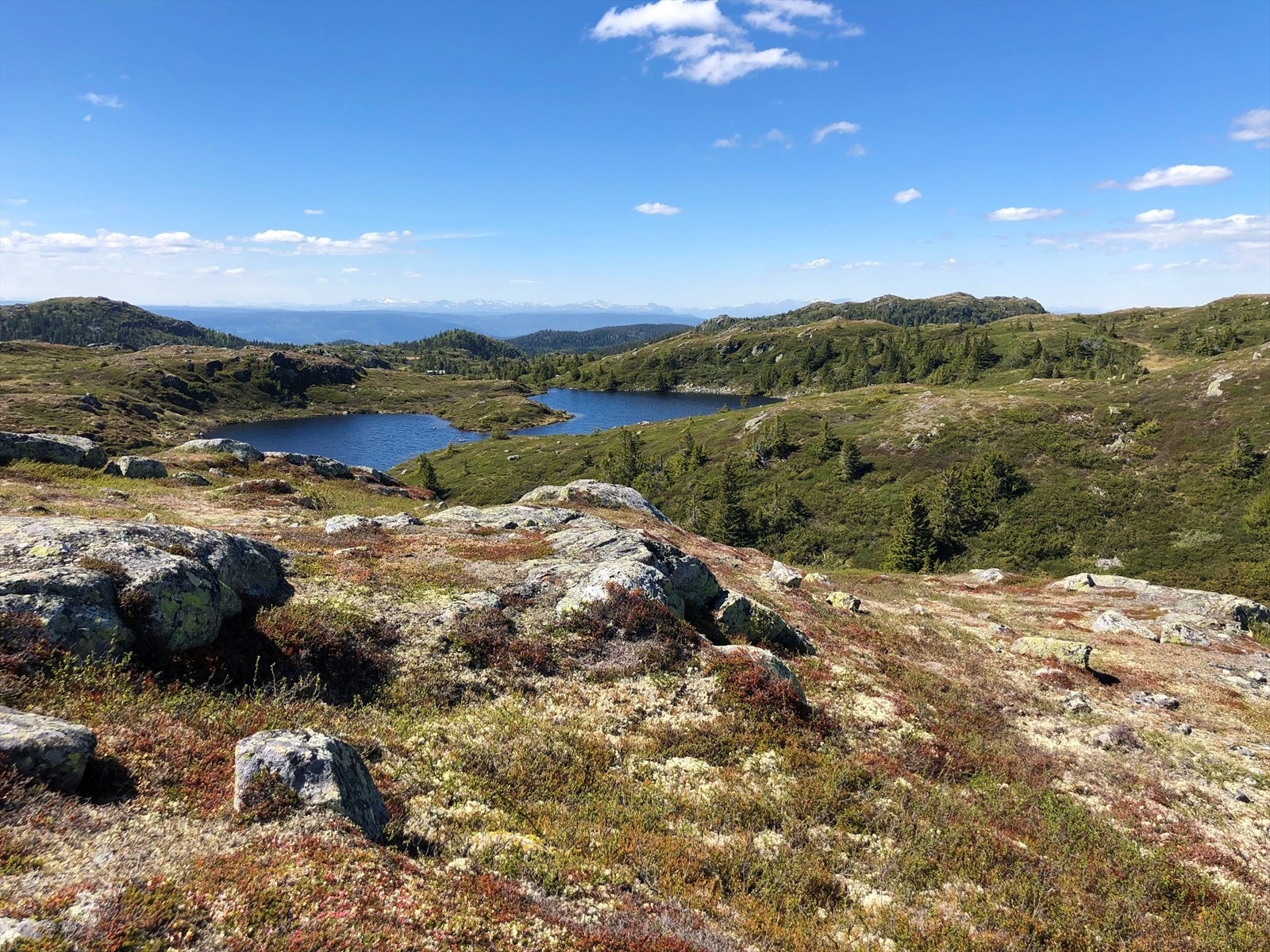 Nes Liemarka fjellvann Galleribilde