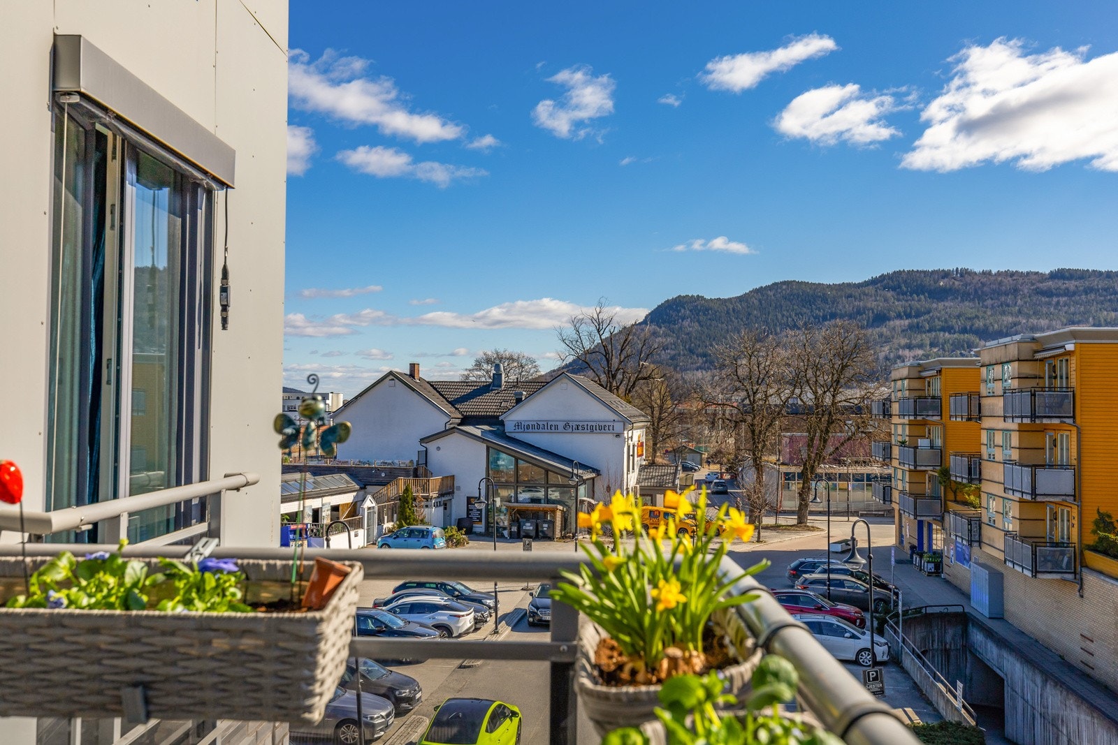 Fin utsikt. Galleribilde