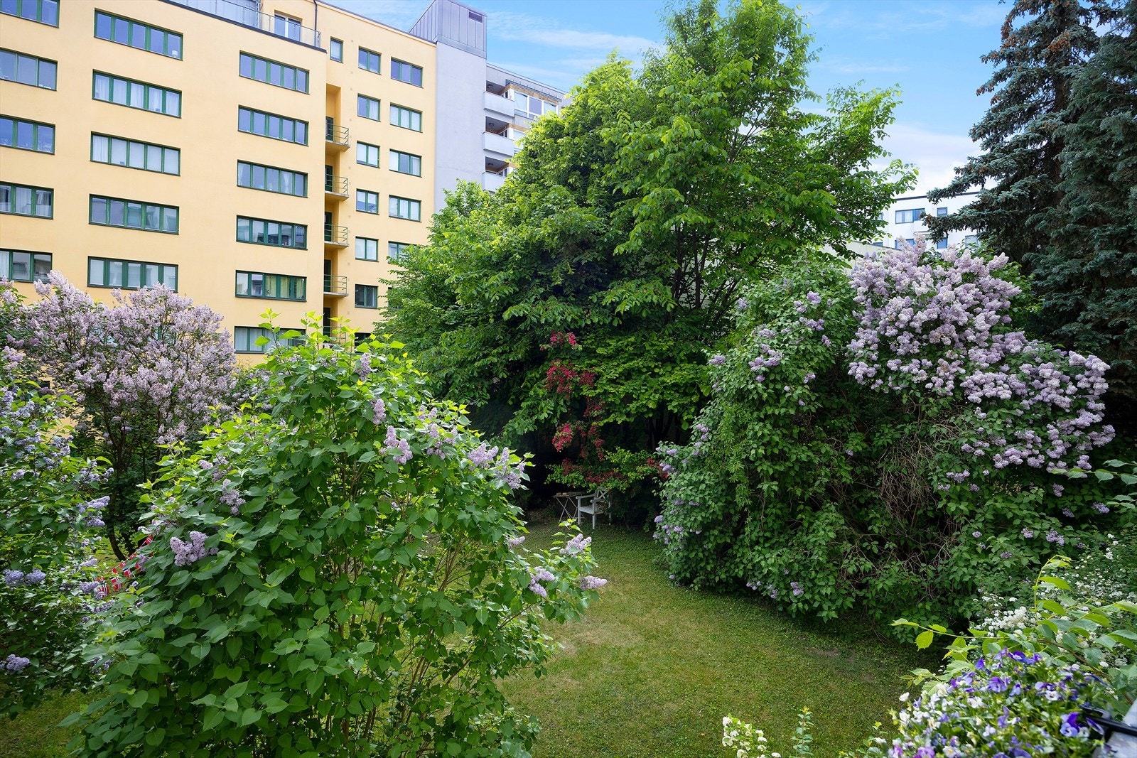 Utsynet fra balkongen er sameiets idylliske - og stille bakgård. Fra denne siden oppleves leiligheten mer som en 2. etasje, med god avstand ned til bakkeplan. Galleribilde