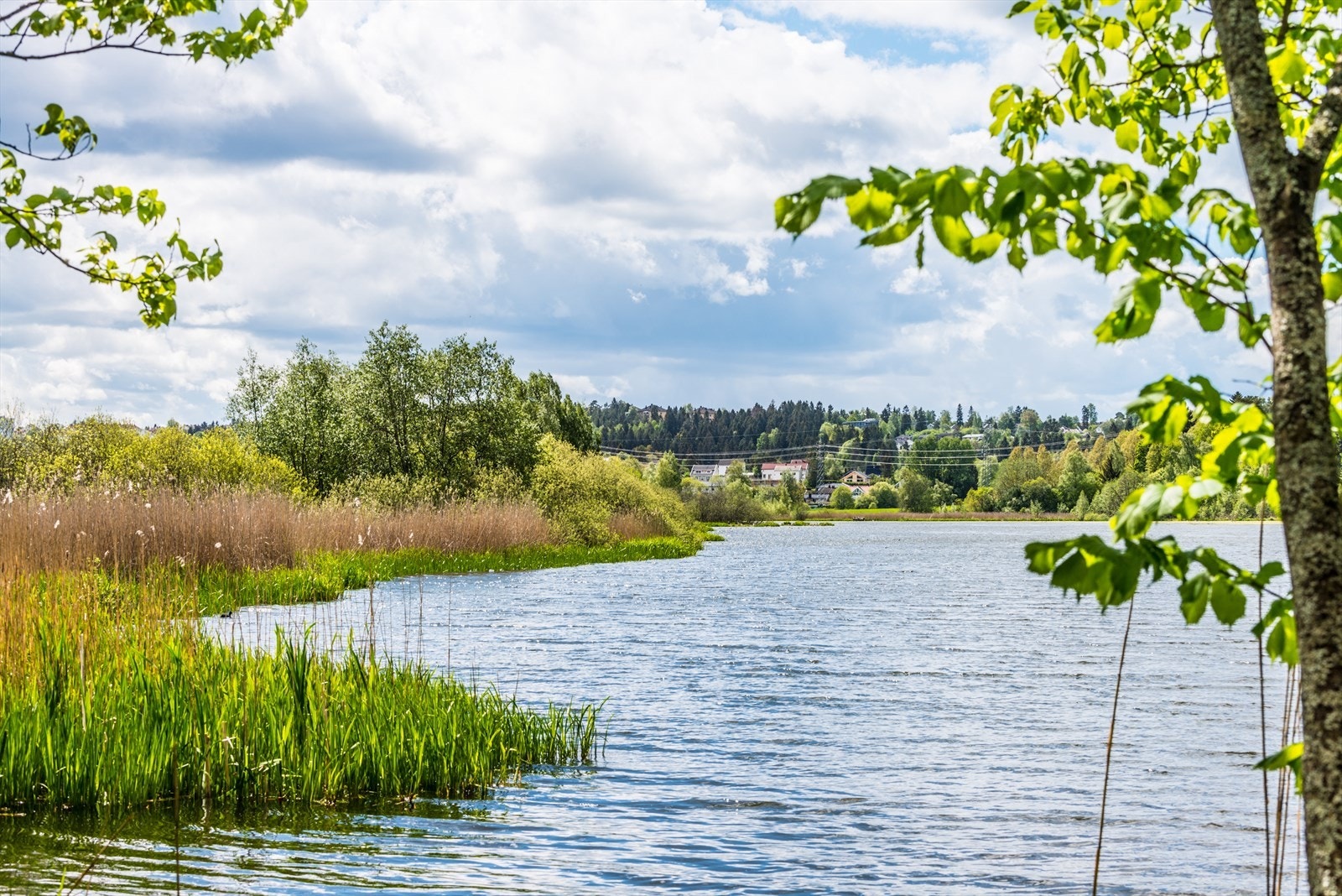 Fine turmuligheter rundt Østensjøvannet og Nøklevann. Galleribilde
