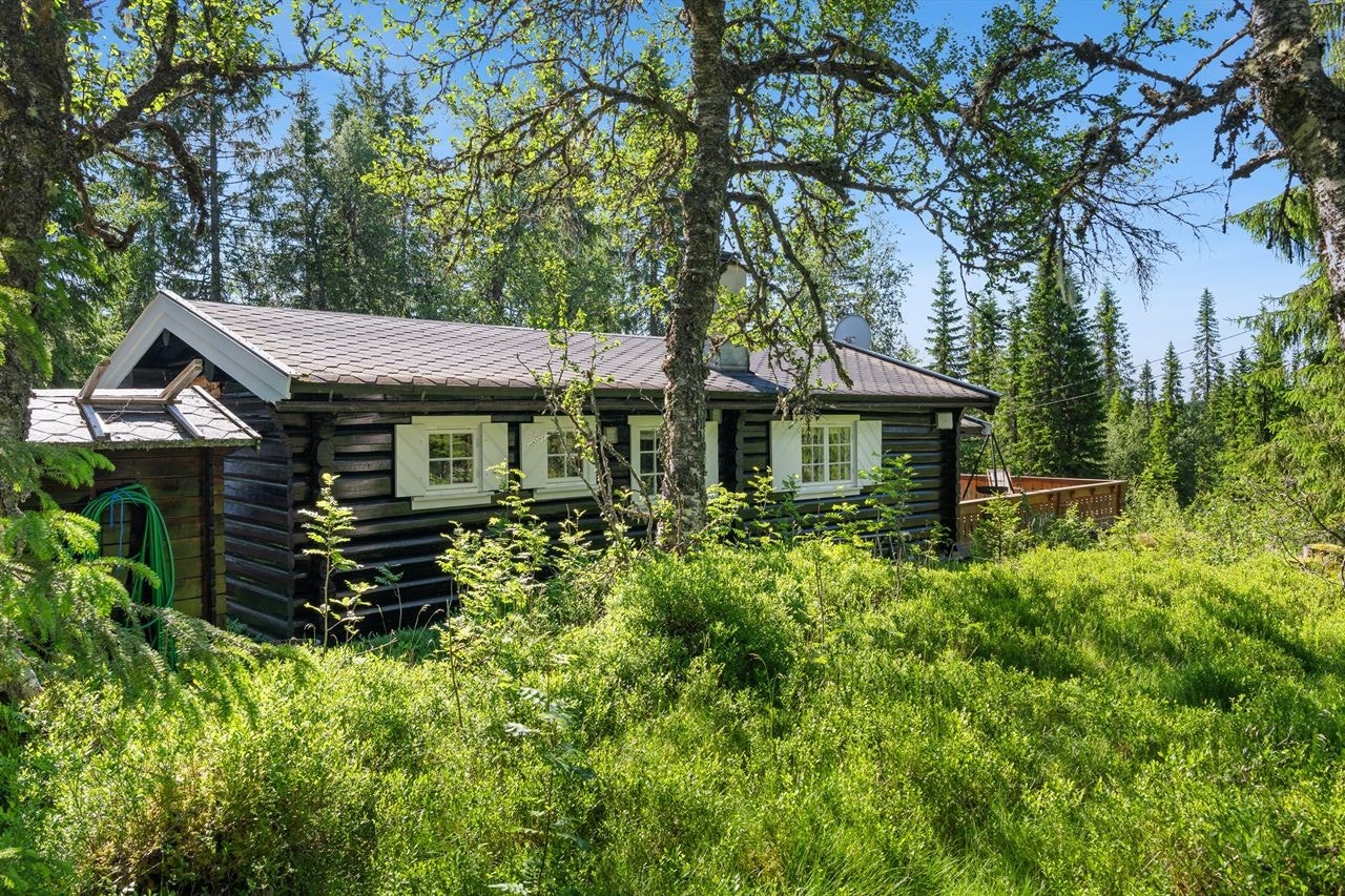 Hytta ligger lunt til med klassisk tømmerfasade, omgitt av frodig fjellnatur. Galleribilde