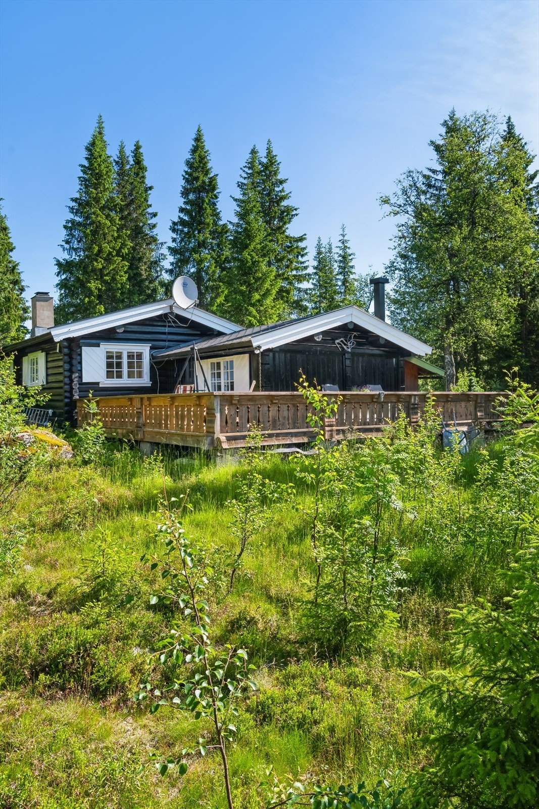 Velkommen til en hyggelig visning! Galleribilde