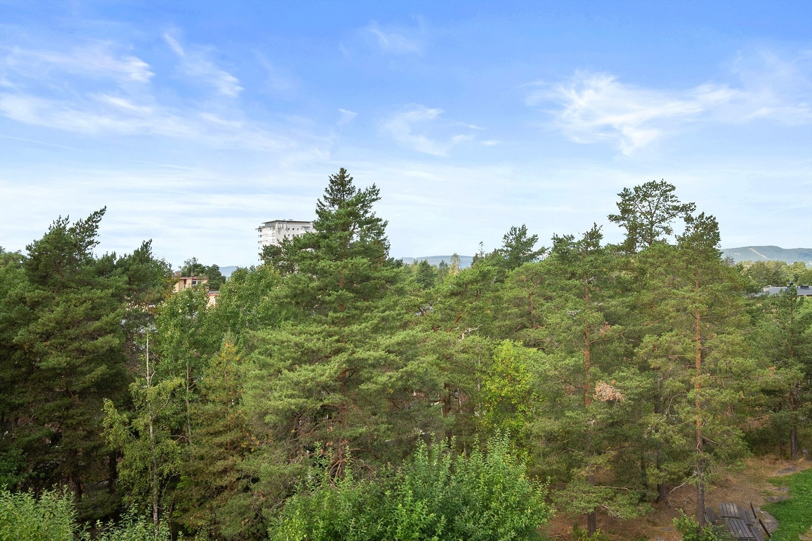 Åpent og grønt utsyn fra balkongen. Galleribilde