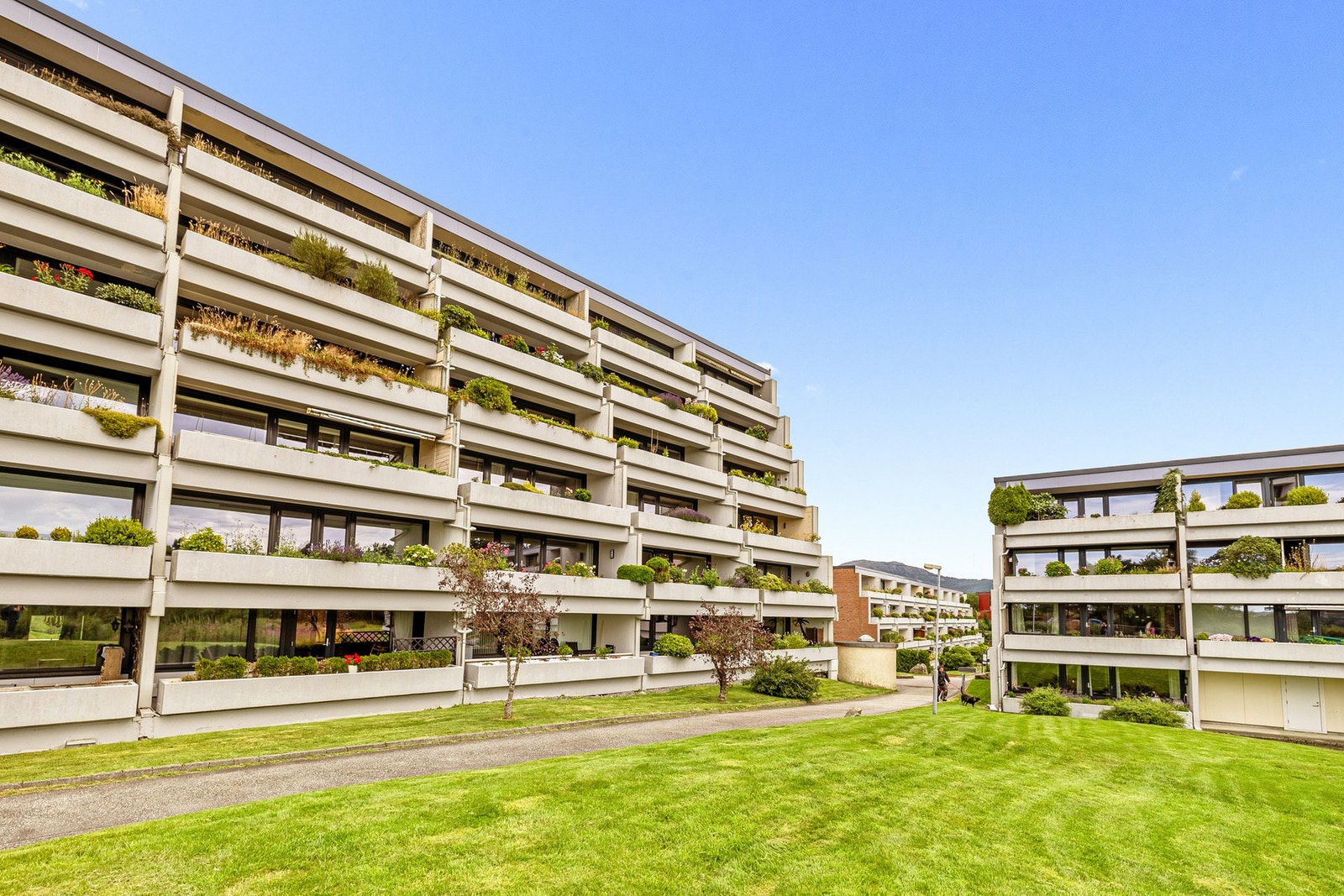 Borettslaget gjennomførte oppgraderinger av fasaden på balkongsiden i 2019. Det ble i tillegg byttet balkongdør og vinduer på denne siden. Galleribilde