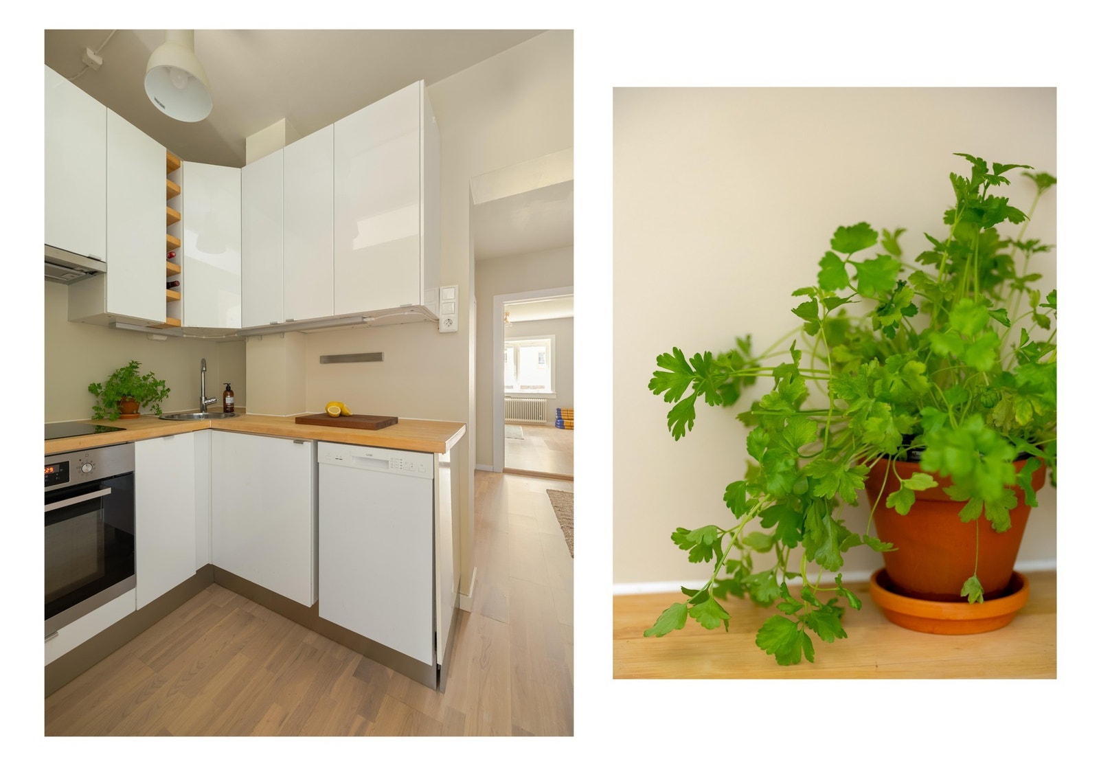 Hvitevarer, som koketopp, stekeovn og oppvaskmaskin, er integrere og følger med i salget. Galleribilde