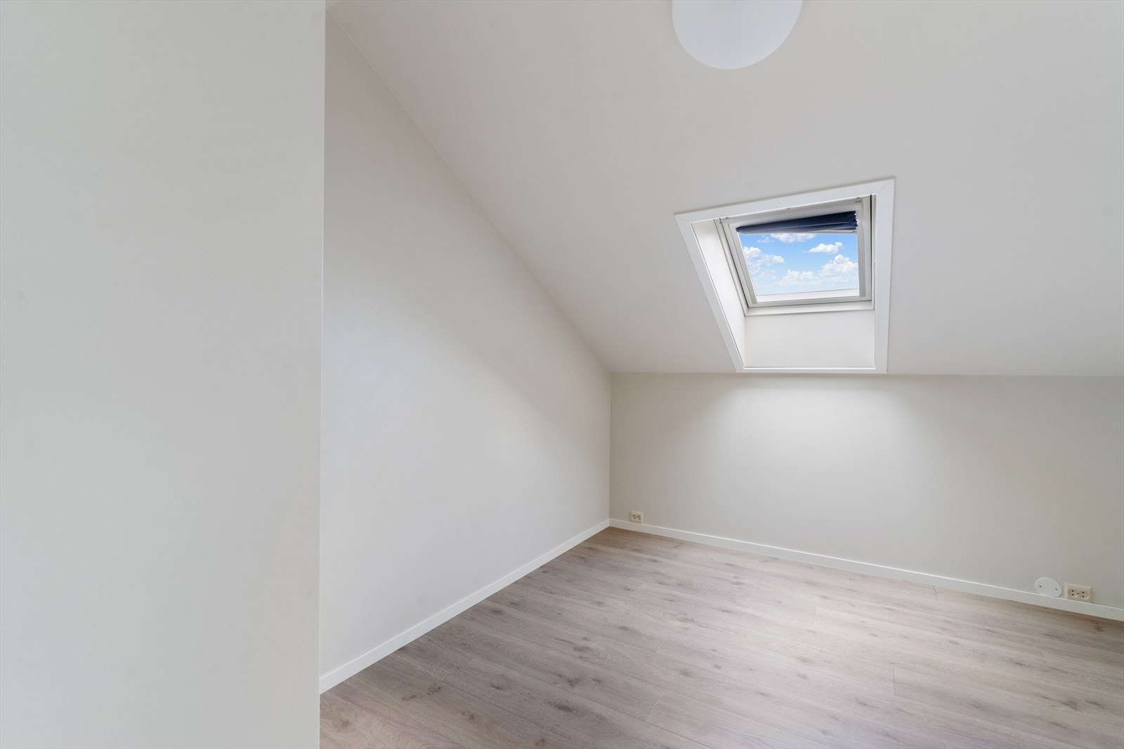 MNF04089.jpg Galleribilde