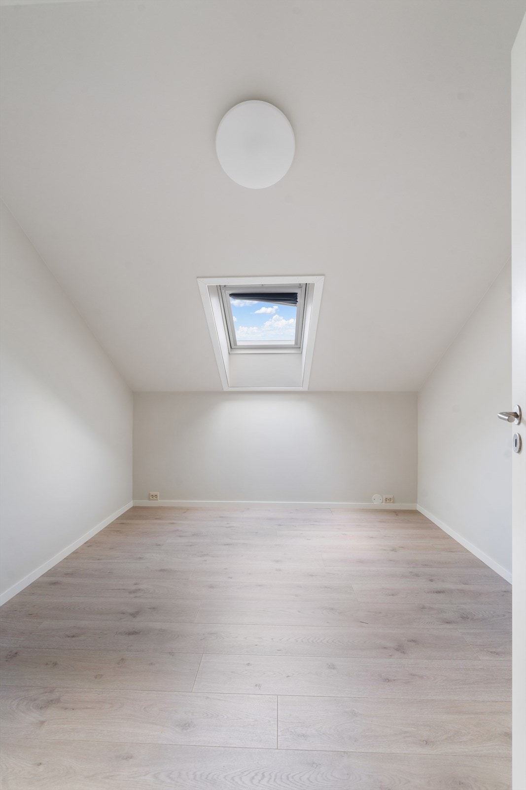 MNF04083.jpg Galleribilde