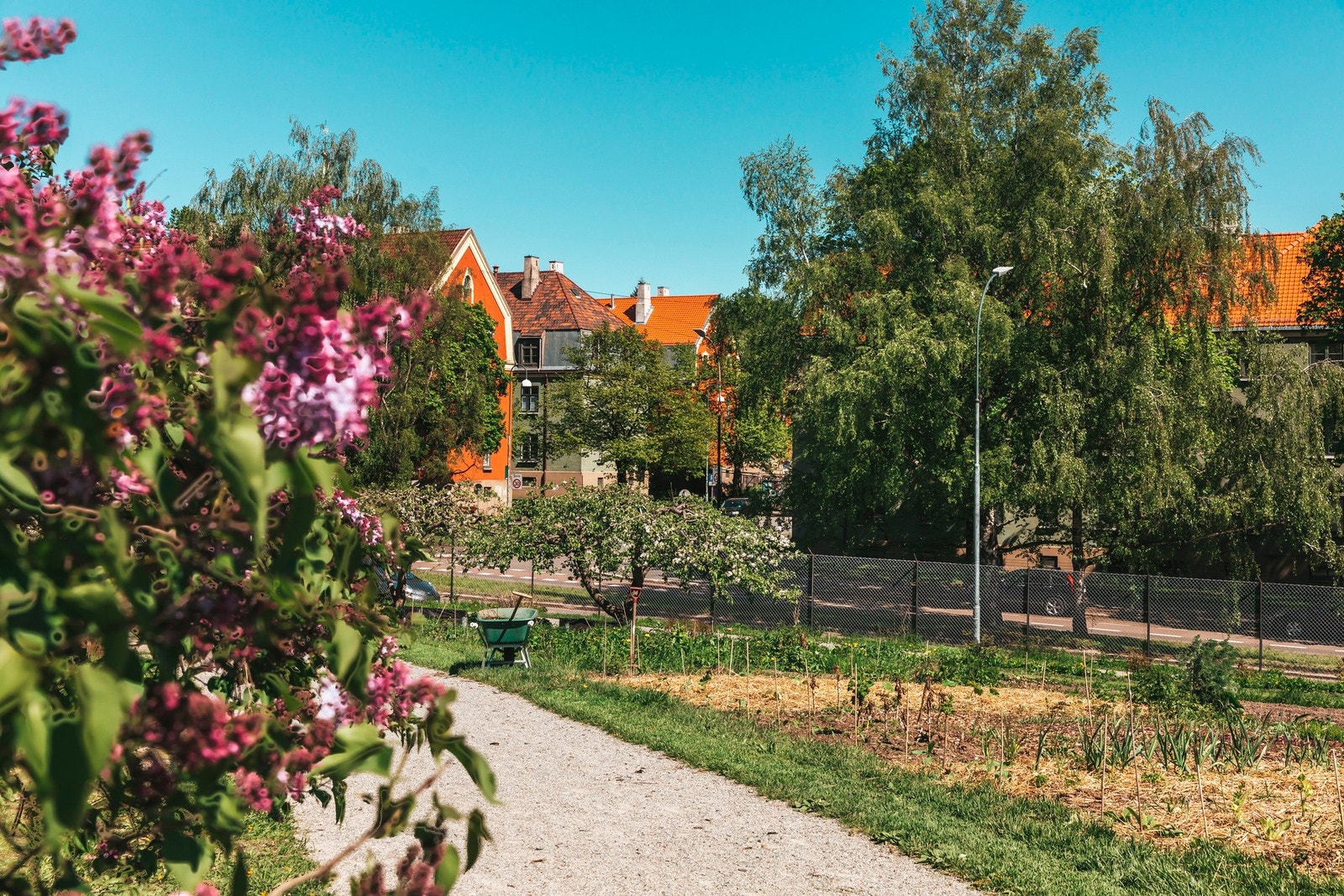 Her er det flotte grøntområder, parsellhager og generelt frodig liv. Galleribilde