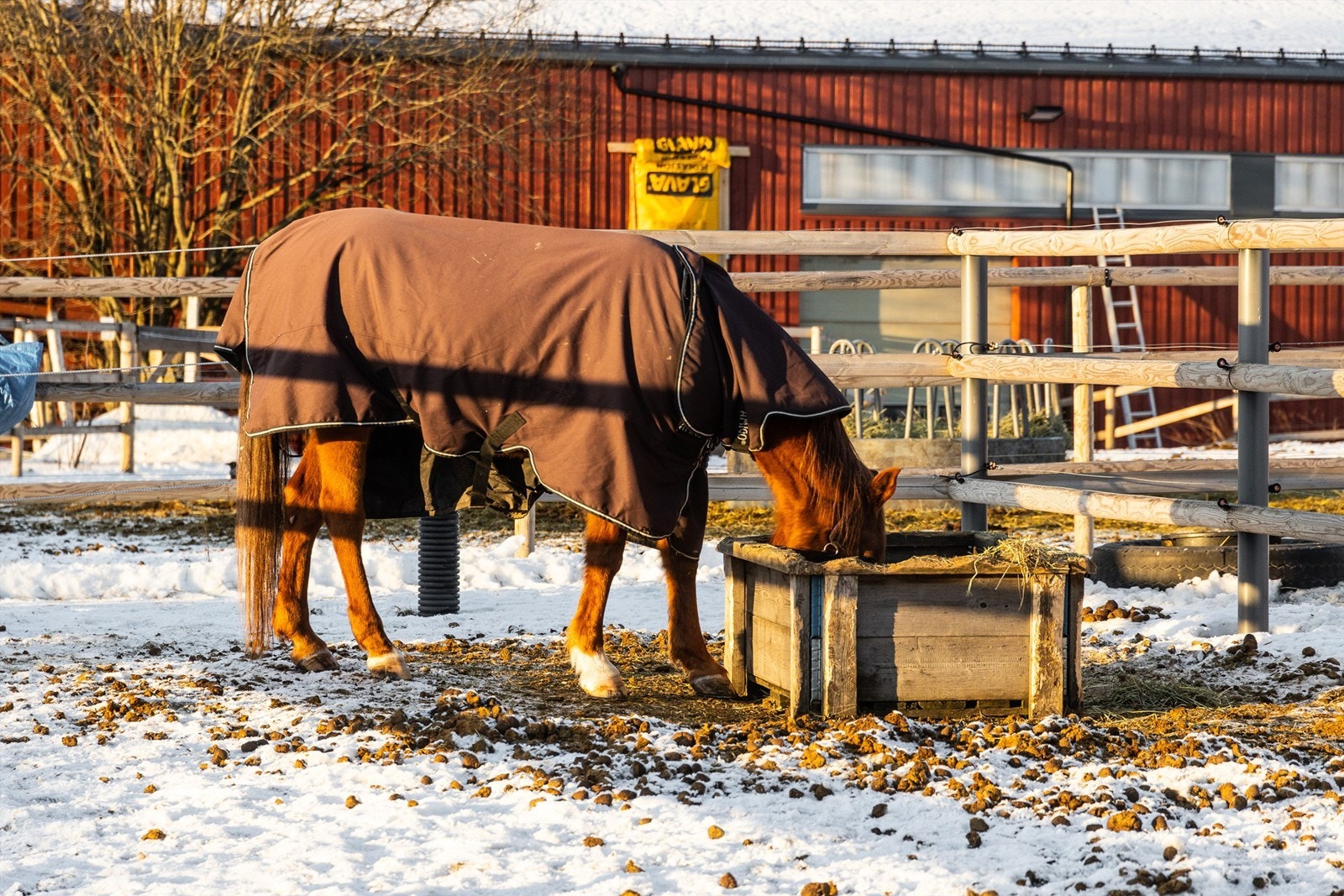 Øvre Fossum Gård tilbyr ride- undervisning for barn og voksne i alle aldere! Galleribilde