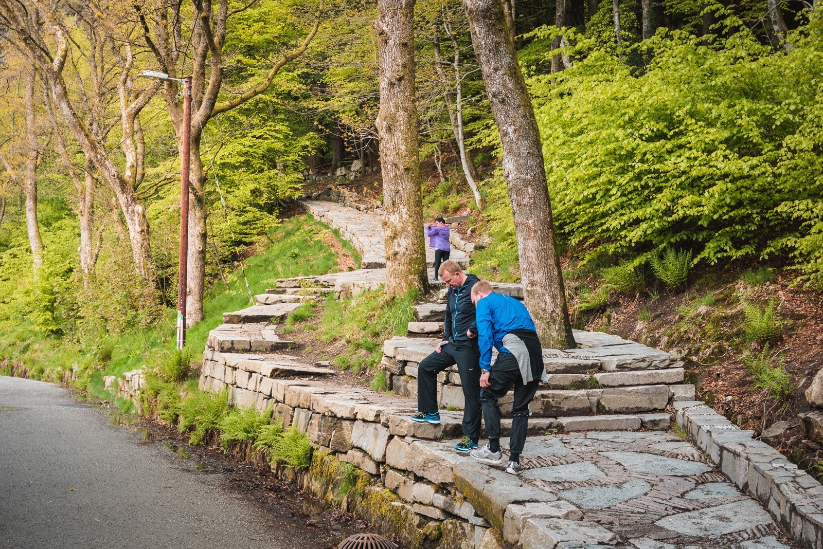 Fantastiske turmuligheter langs Fjellveien med Fløyen og Stoltzekleiven, og med lett tilgang til byfjellene. Galleribilde