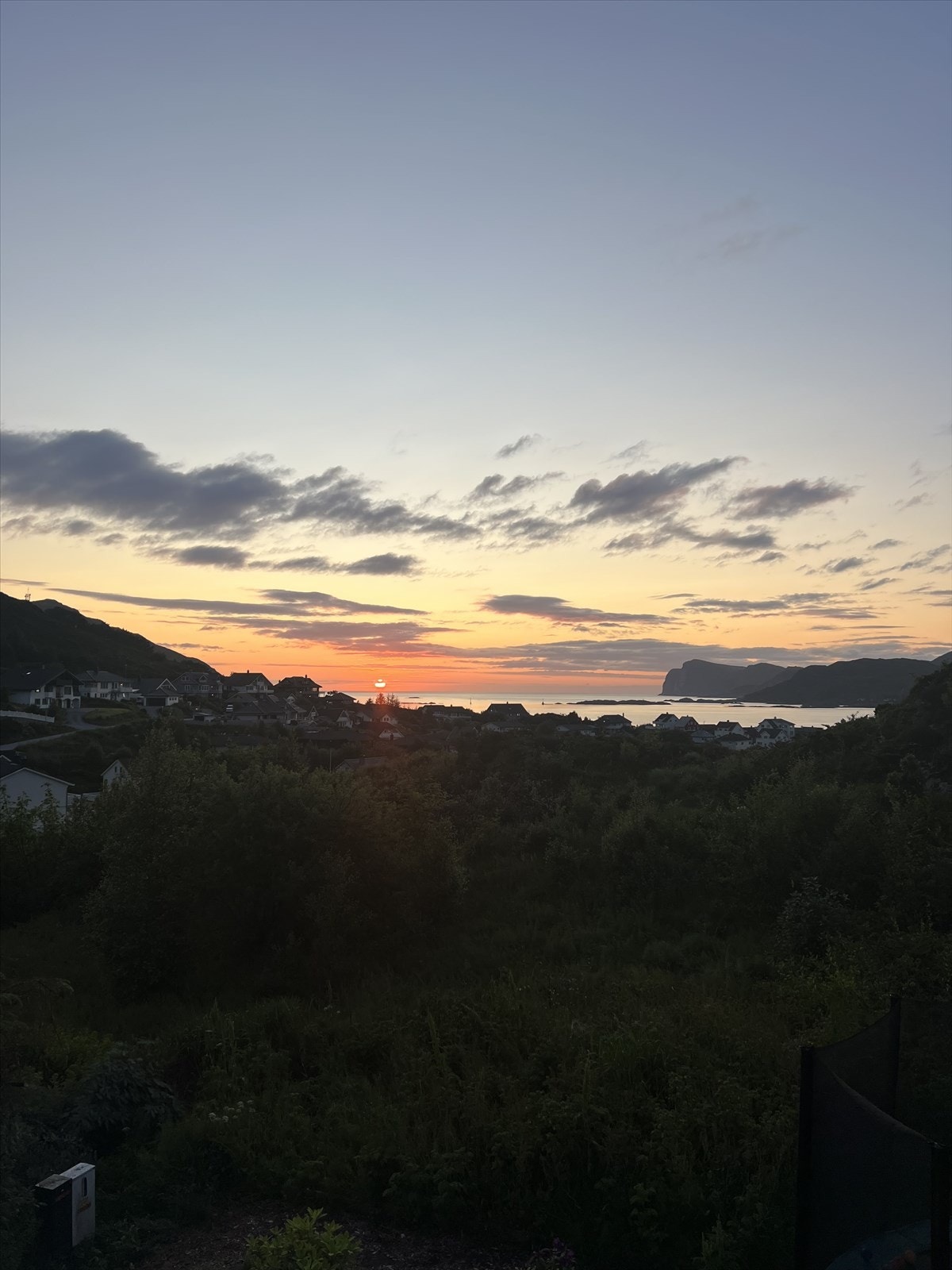 Selgers bilde Galleribilde