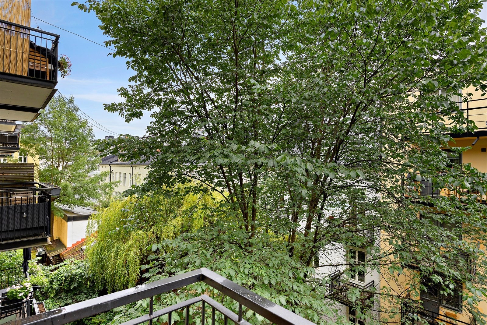Grønn og skjermet utsikt fra balkongen - her bor du tilbaketrukket og fredelig, midt i byen. Galleribilde