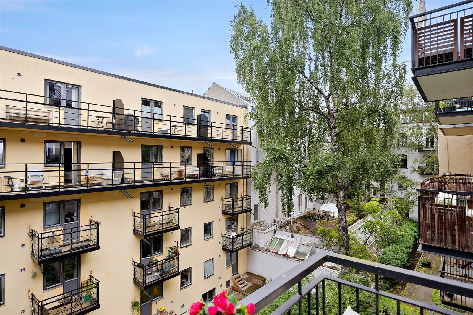 Rolig og frodig bakgård med hyggelig naboskap og grønn utsikt - et lite fristed midt i byen. Galleribilde