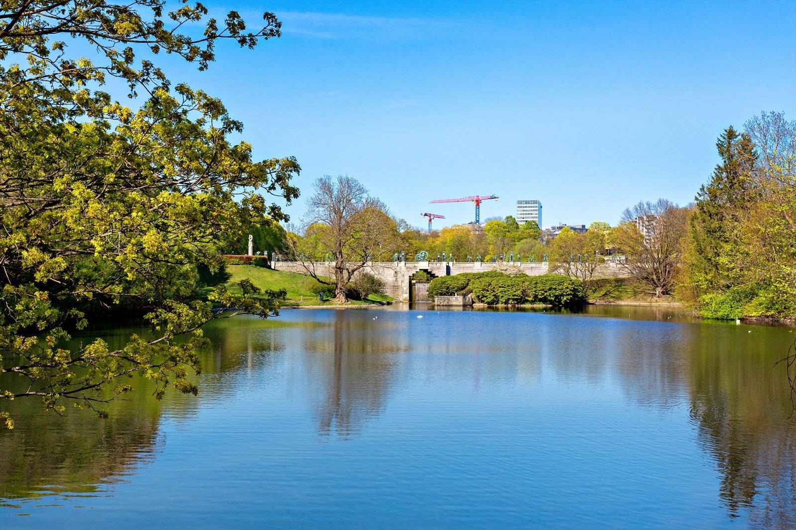 Frognerparken - idylliske dammen og grønne omgivelser rett i nærheten. Galleribilde
