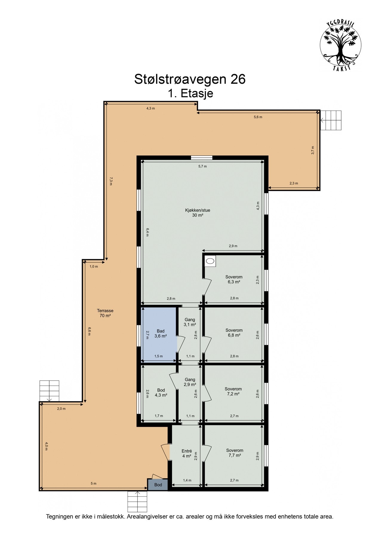 Planskisse. Galleribilde