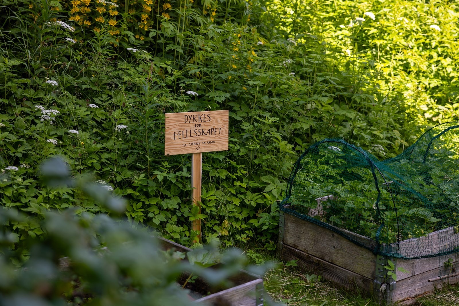 Veldrevet og rolig borettslag med store og grønne fellesområder Galleribilde