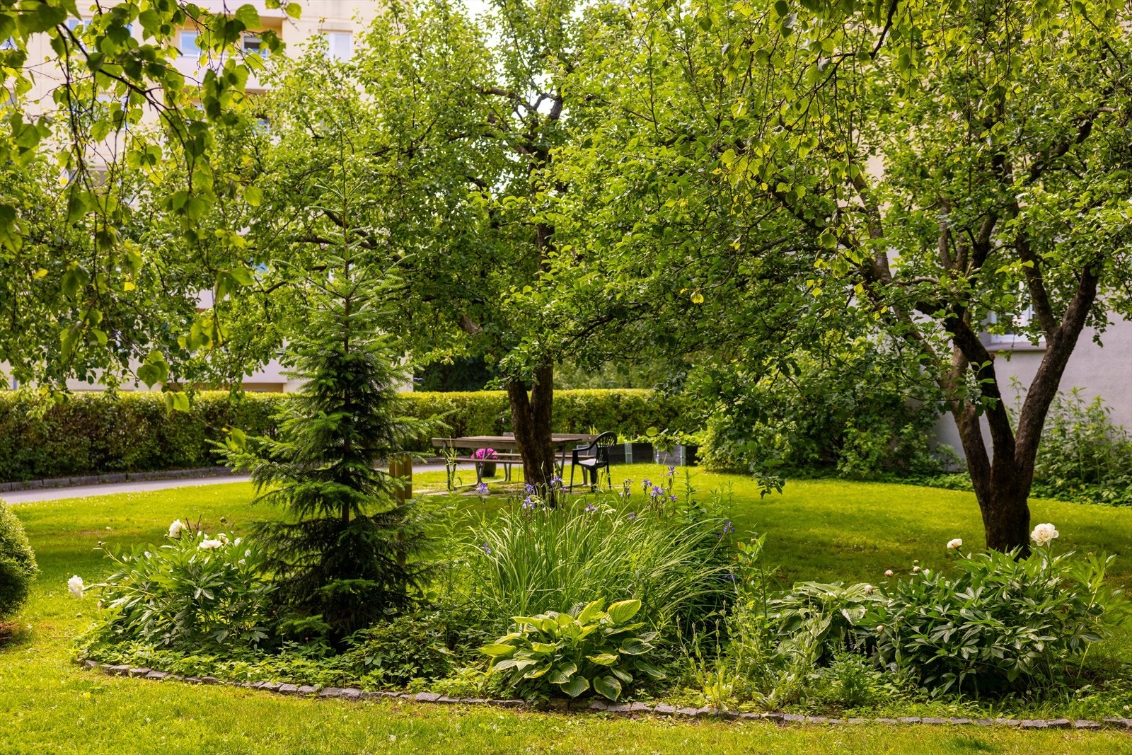 Det hyggelige uteområdet har frukttrær, en liten lekeplass, utemøbler og griller som andelseierne kan benytte Galleribilde