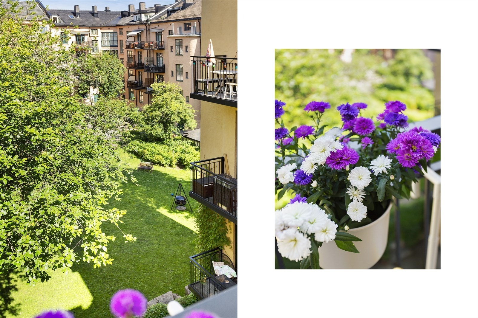 Fra balkongen har du utsyn til felles hagen hvor barna kan leke trygt. Galleribilde