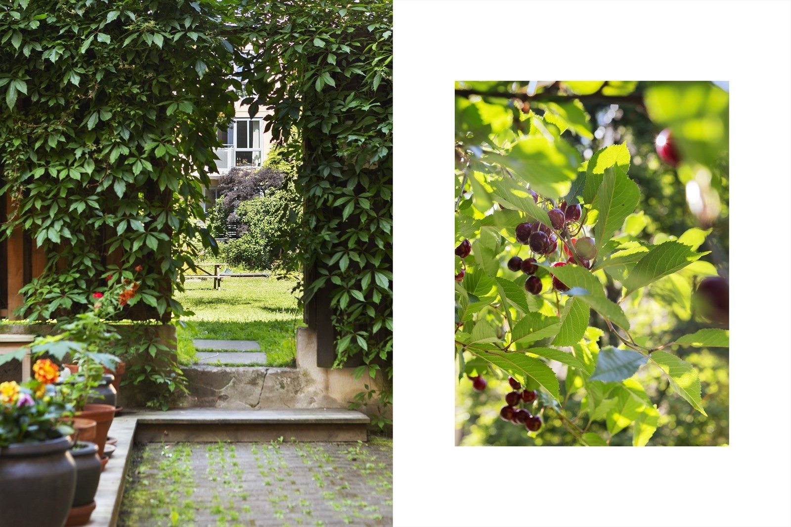 Bakgården er særlig fin på sommeren, og man kan blant annet spise jordbær, bringebær, amerikanske blåbær og rips. Også fin gressplen og sandkasse. Galleribilde