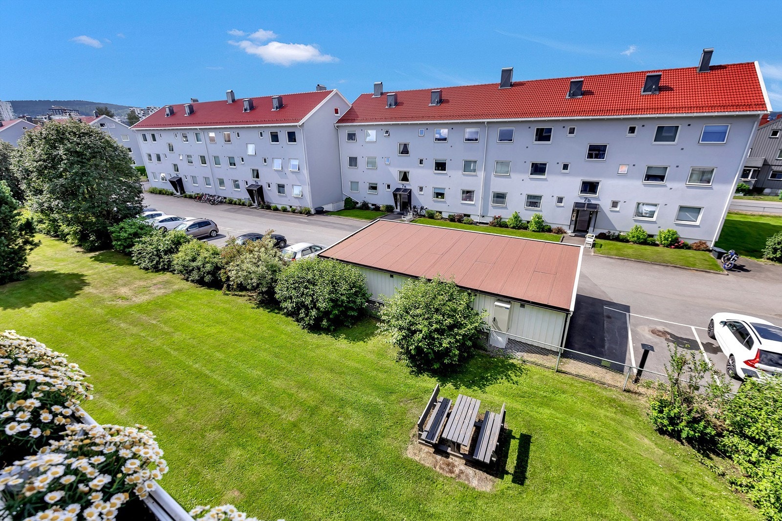 Velholdt og hyggelig grønt fellesområde med plen og sittebenk rett utenfor. Galleribilde