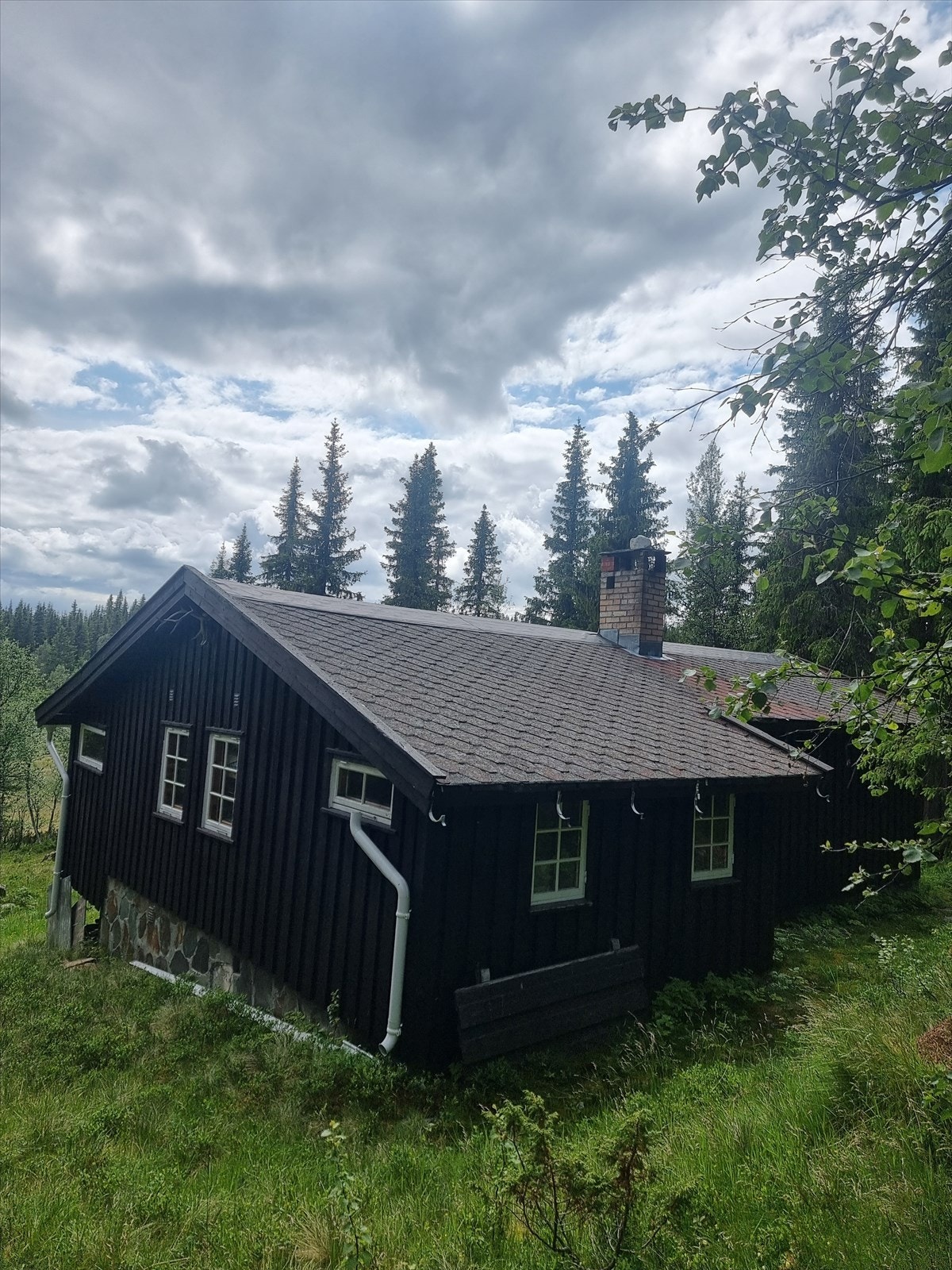 Skjermet hytteidyll - sjelden mulighet i naturskjønne omgivelser! Galleribilde