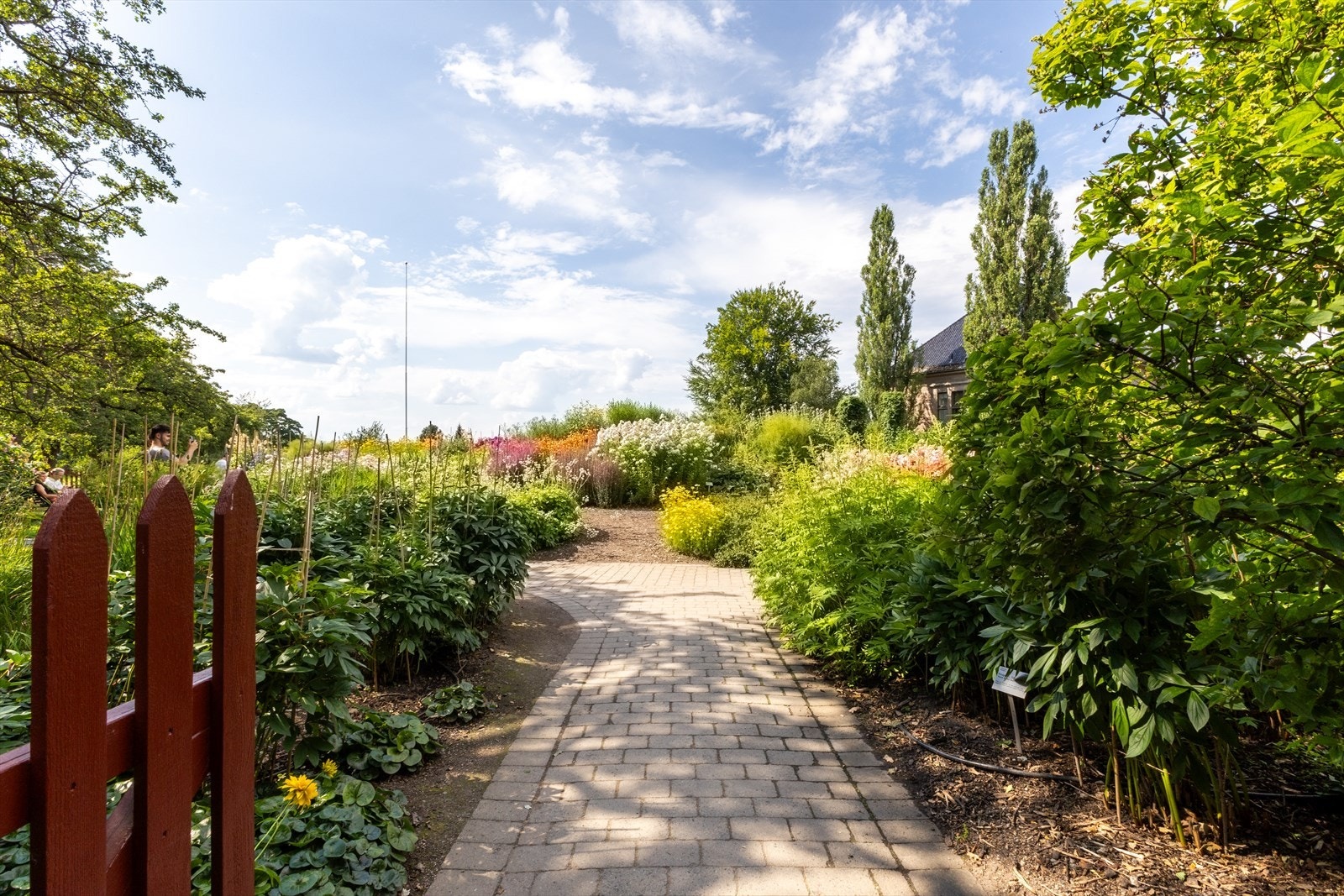 - Velkommen til visning! - Galleribilde