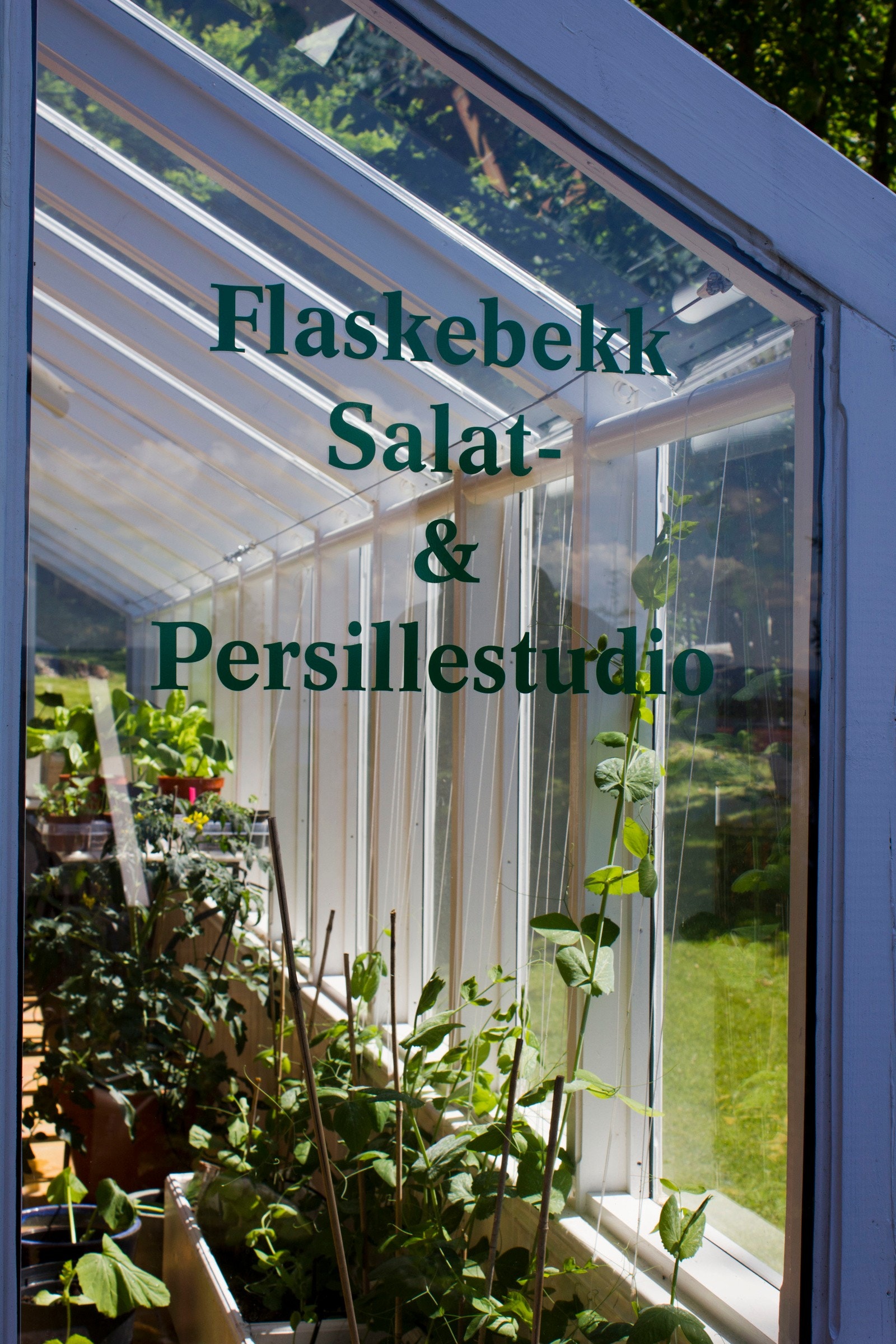 Salat- & Persillestudioet er rettet til deg som drømmer om kortreist mat rett fra hagen. Galleribilde
