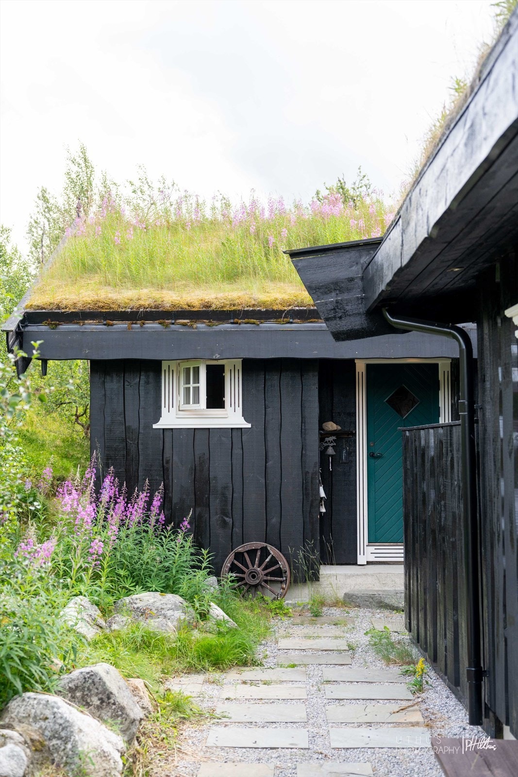 Tomten er opparbeidet med tilkomstvei, uteområde og parkering Galleribilde