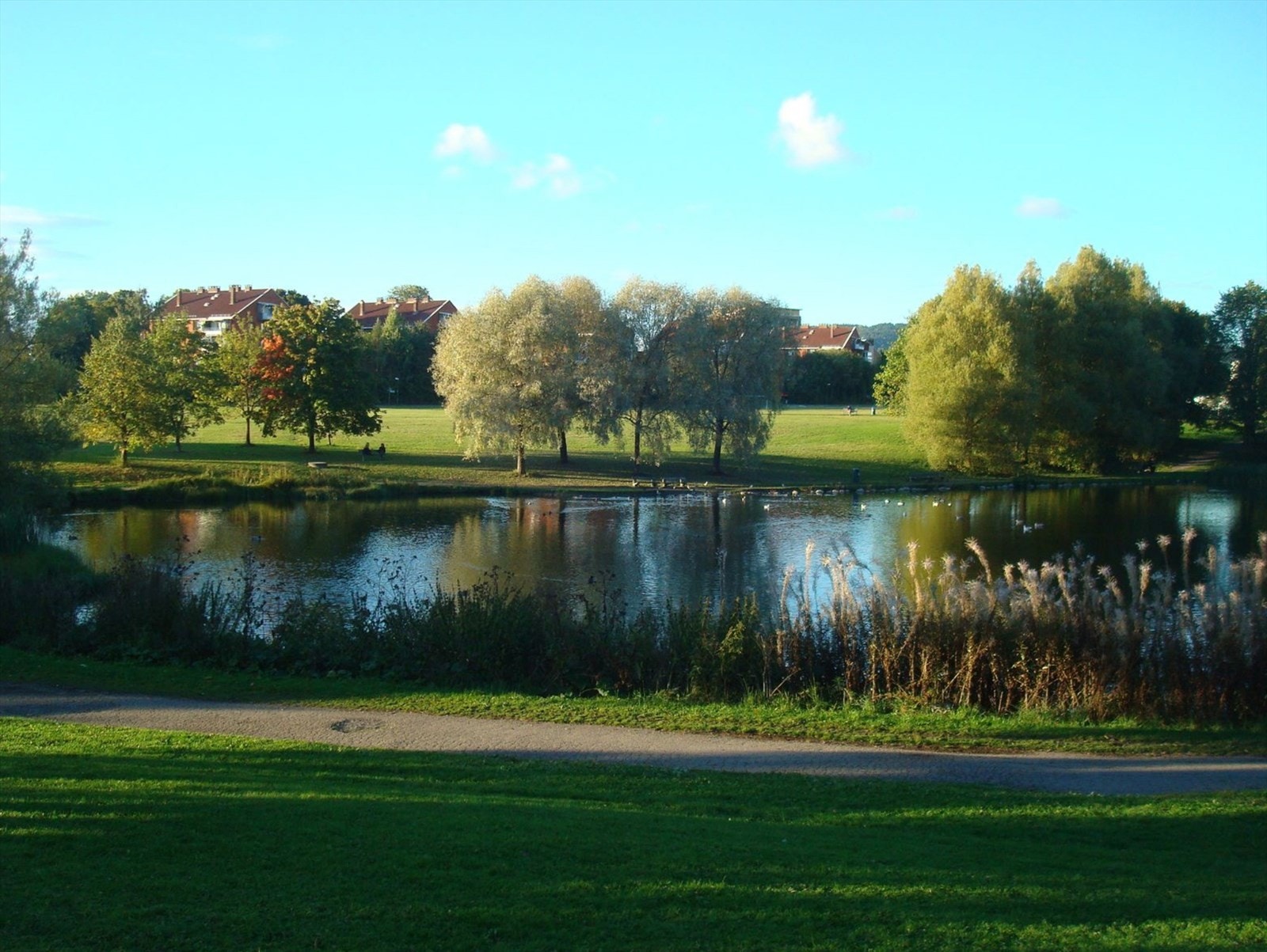 Hovindammen Galleribilde