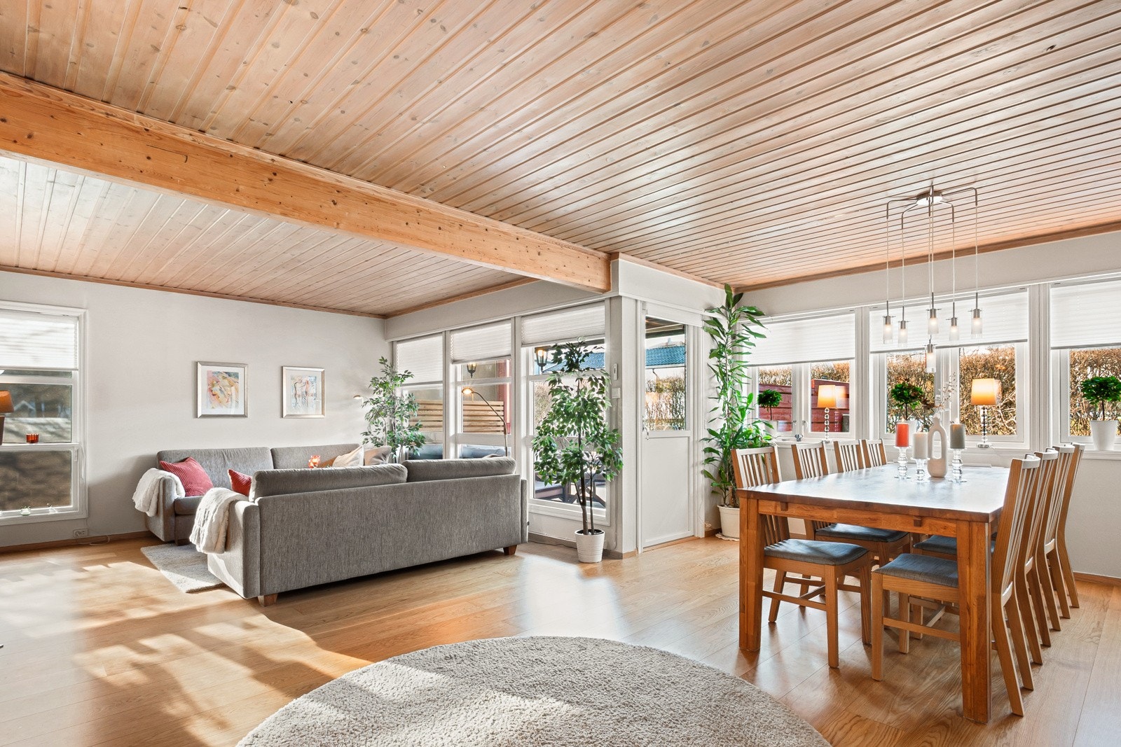 Stort og luftig allrom med naturlig adskilte soner. De mange vinduene sørger for godt med naturlig lys. Galleribilde